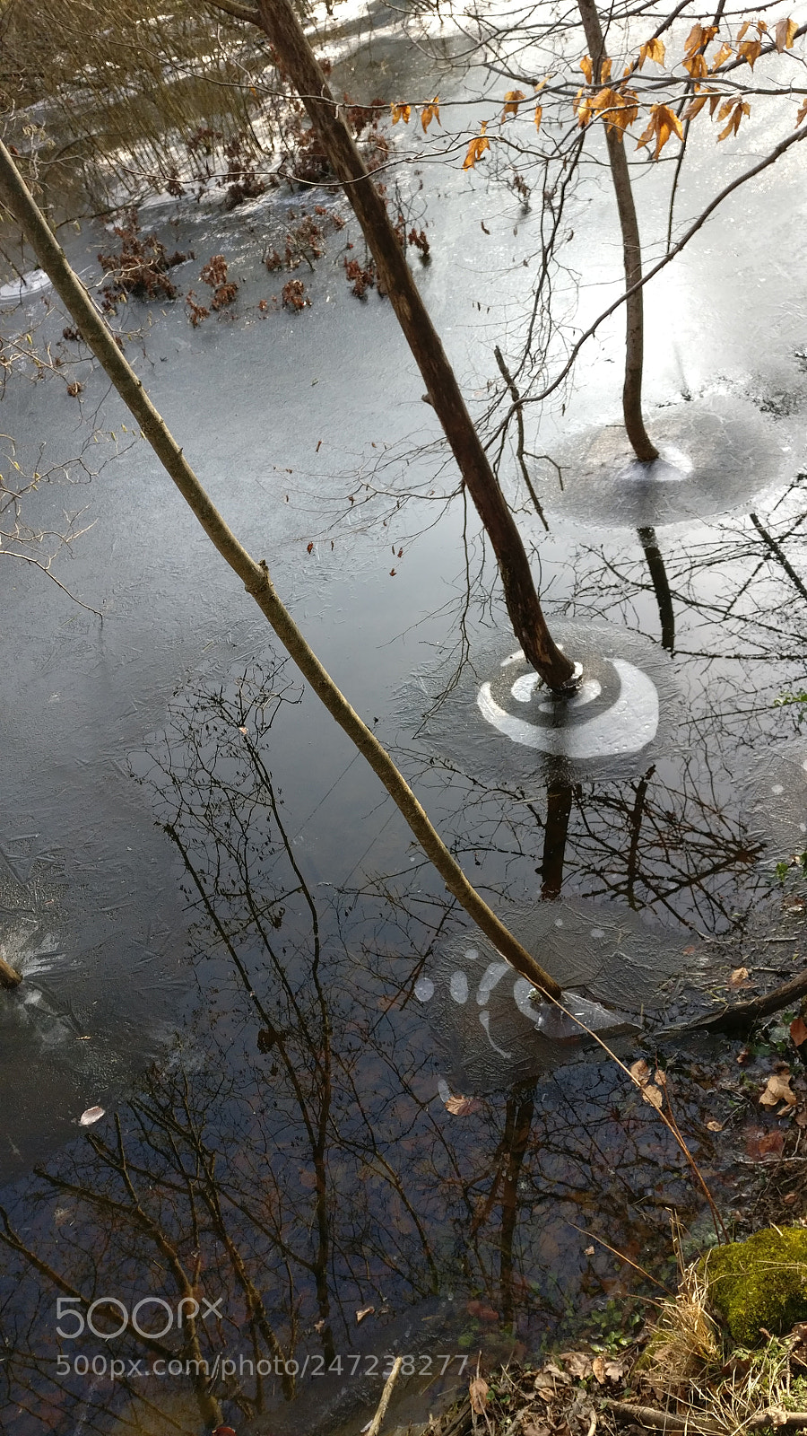 OnePlus A3003 sample photo. Untitled photography