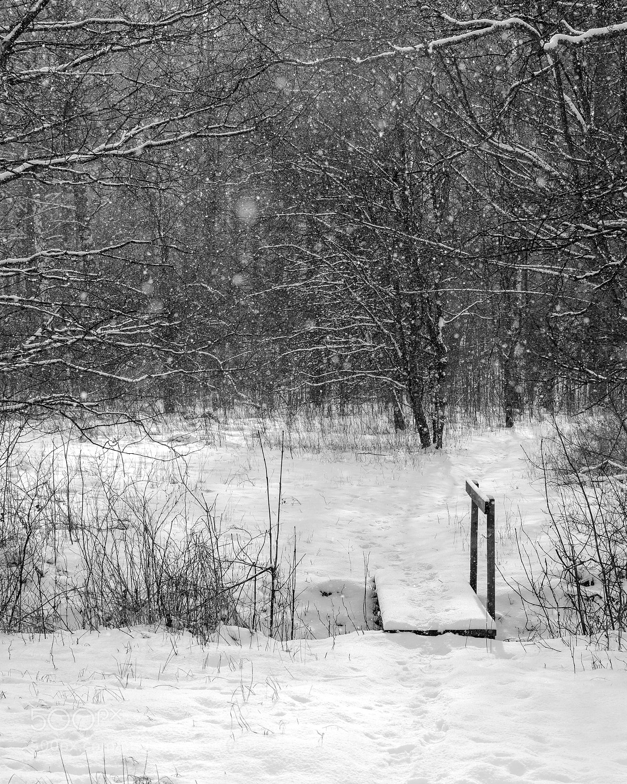 Pentax K-1 sample photo. Hiking in the snow photography