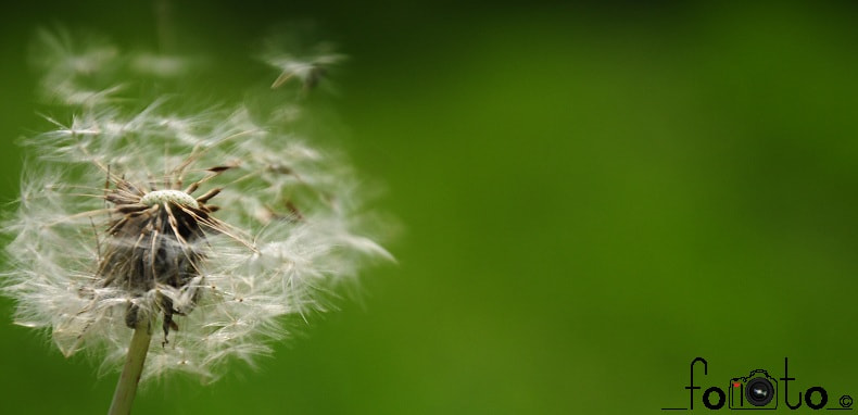Nikon D5000 sample photo. Decollo photography