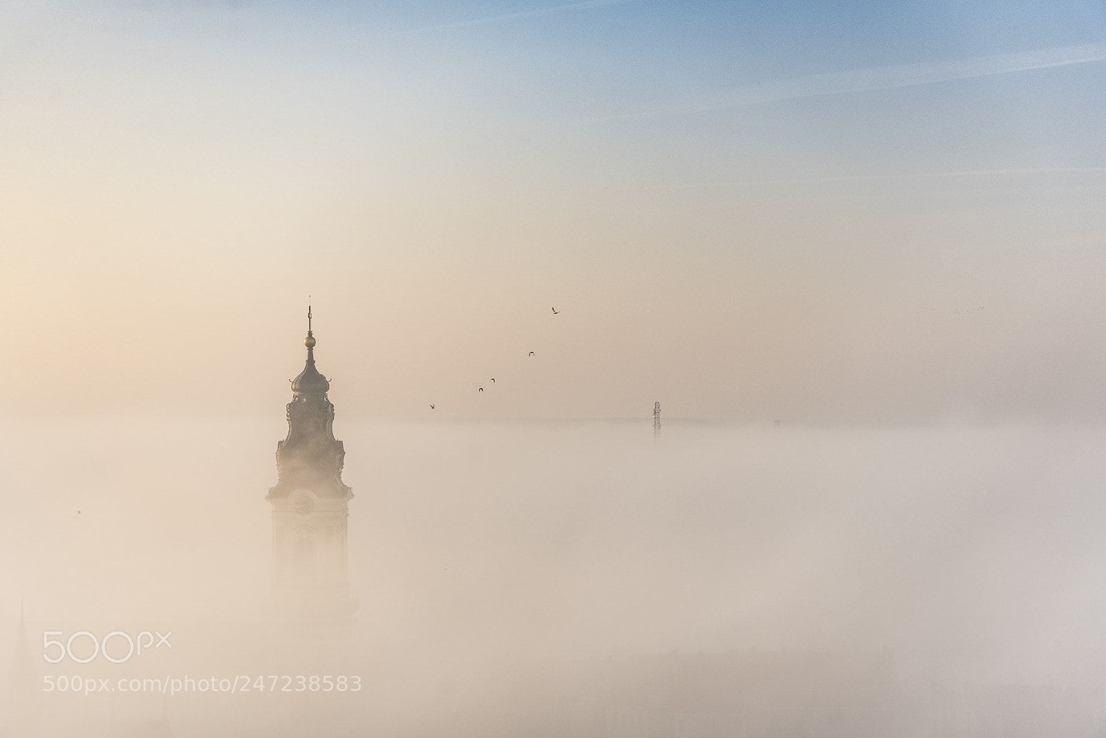 Nikon D810 sample photo. Foggy day photography