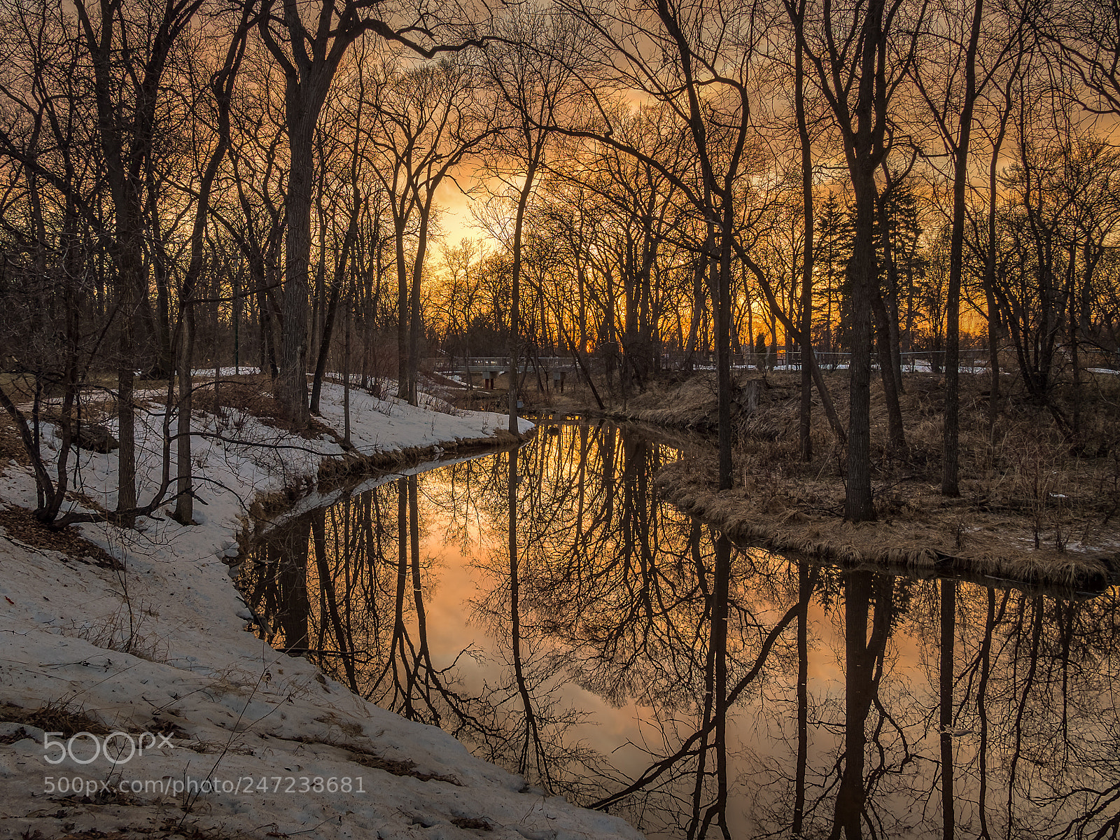 Olympus OM-D E-M5 sample photo. Reflections photography