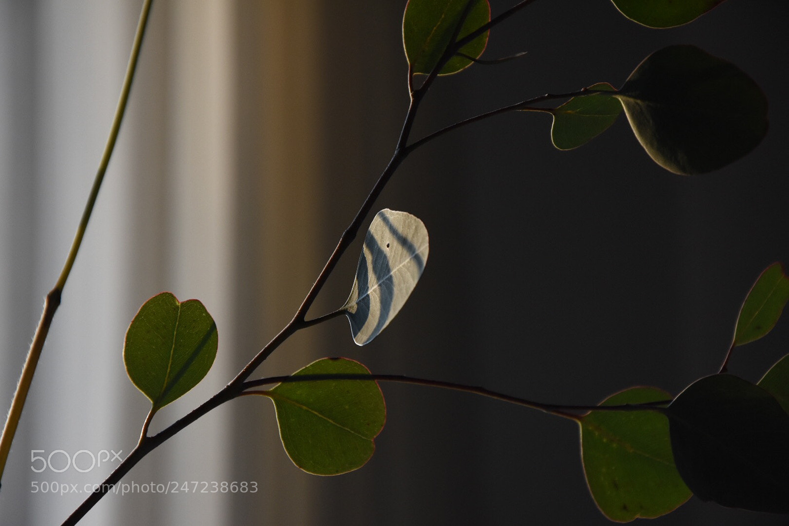 Nikon D7200 sample photo. Untitled photography