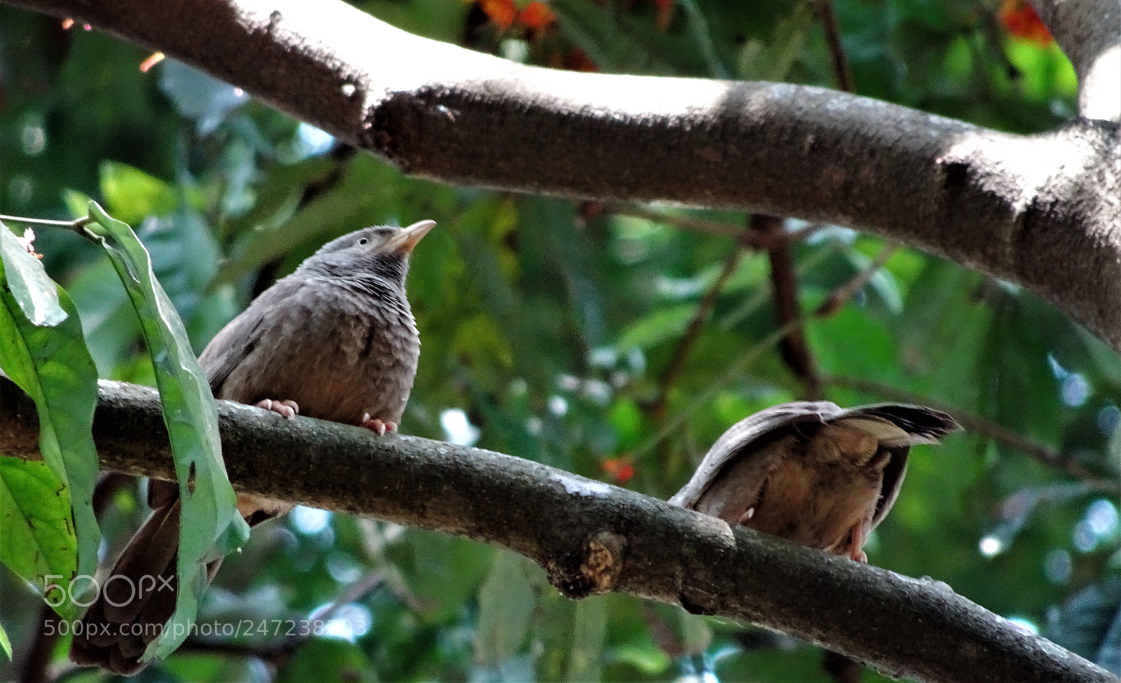 Sony Cyber-shot DSC-HX90V sample photo. Dsc photography