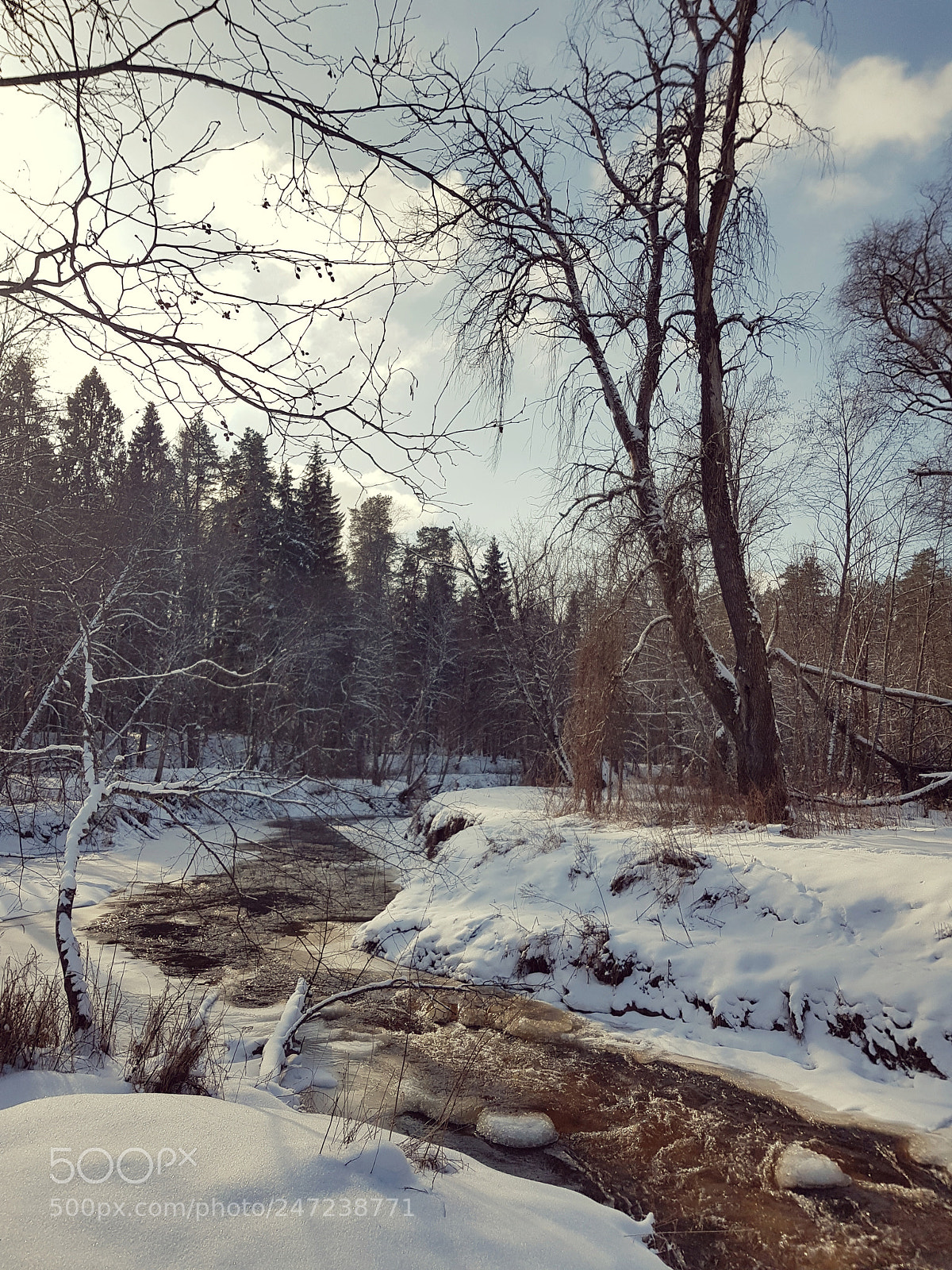 Samsung Galaxy S8 sample photo. Ligatne i photography