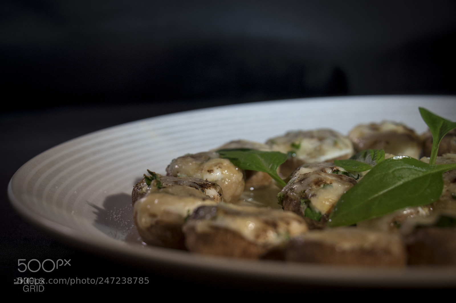 Canon EOS 7D Mark II sample photo. Mush for room photography