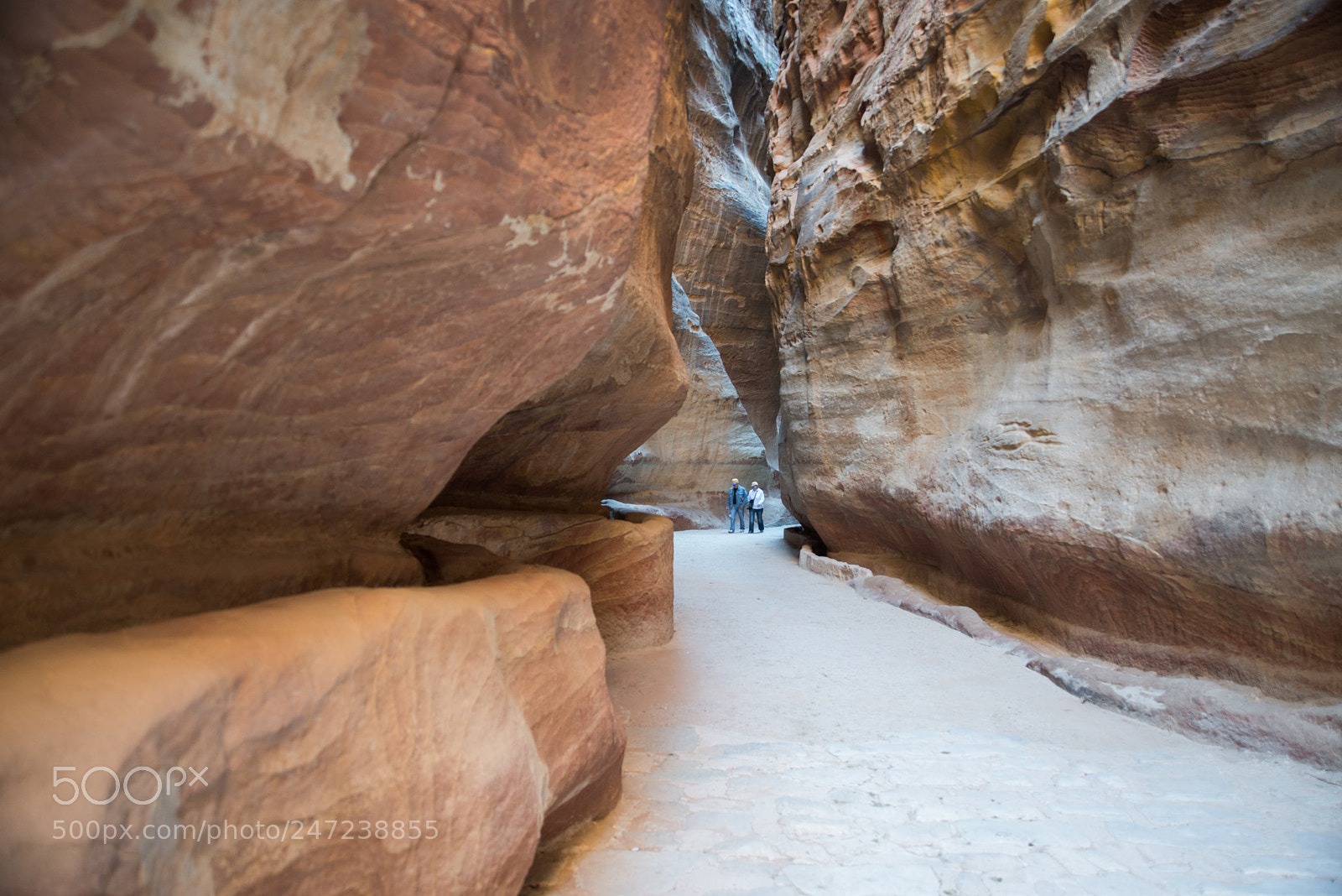 Nikon D800 sample photo. Rocky path photography