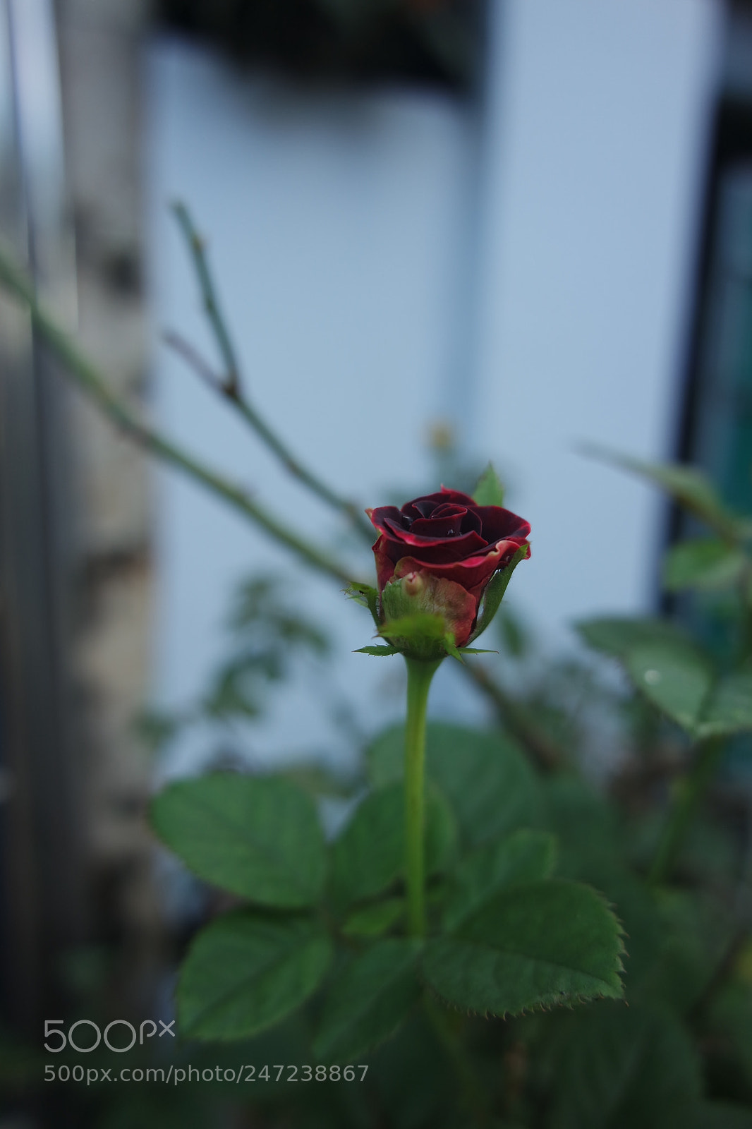 Samsung NX3000 sample photo. Going to wake photography