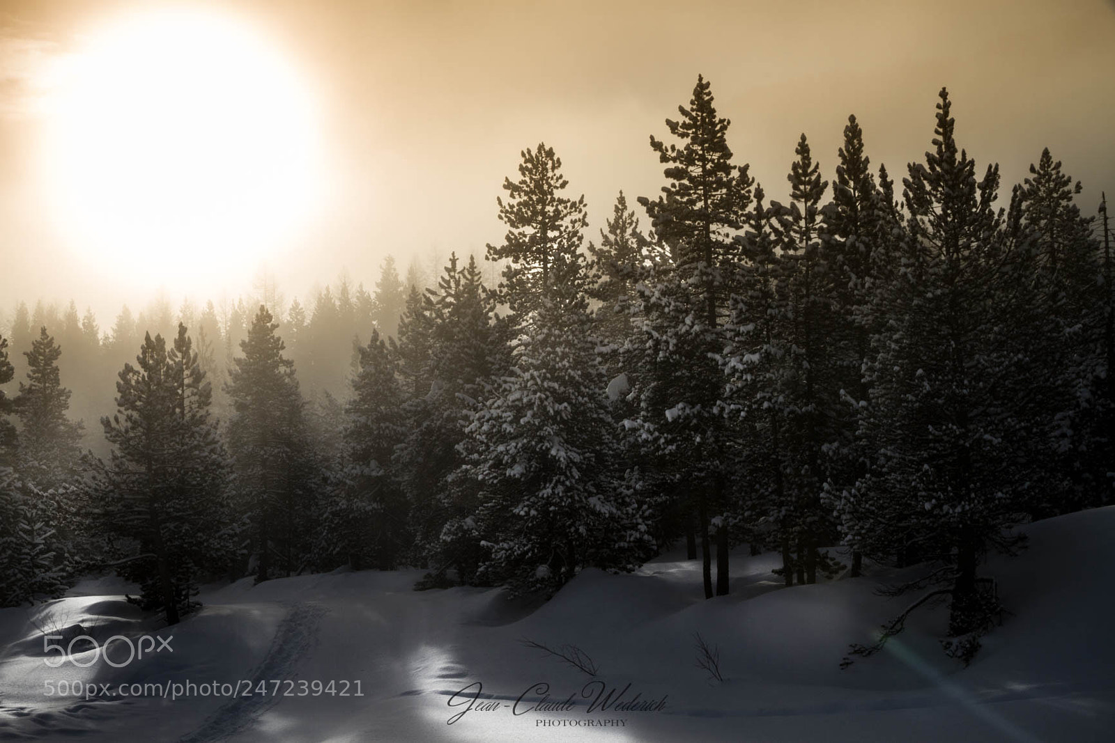 Canon EOS 7D sample photo. Misty morning photography