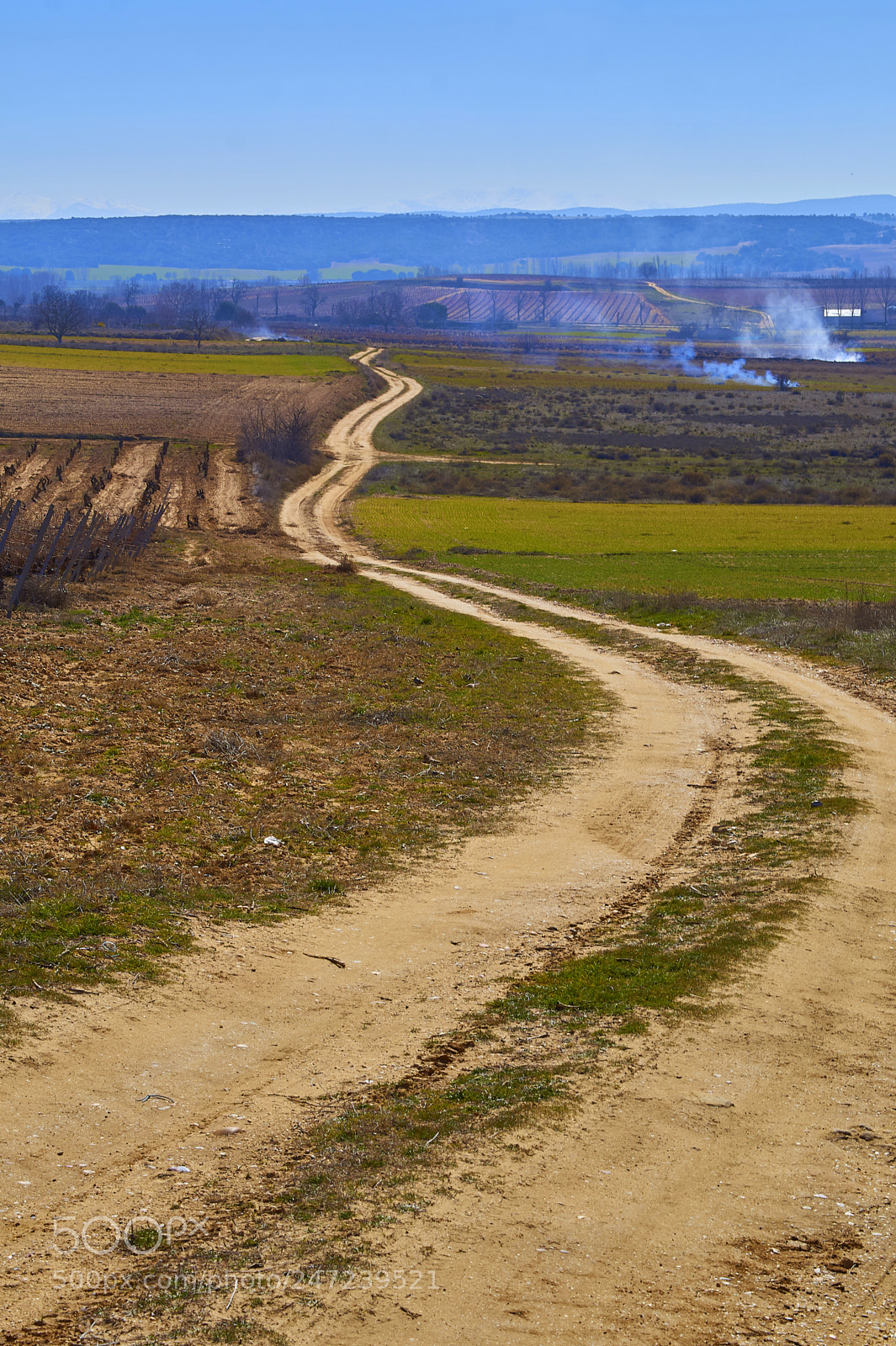 Sony SLT-A58 sample photo. En el camino photography