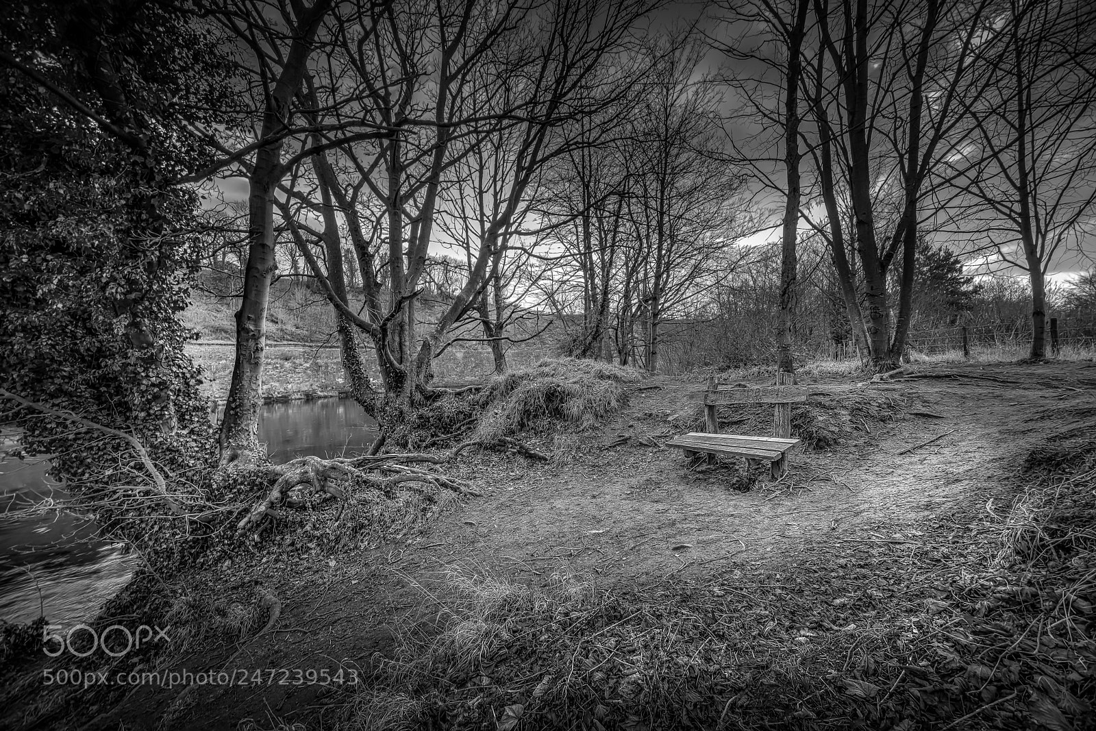 Sony a7R II sample photo. A seat in the photography