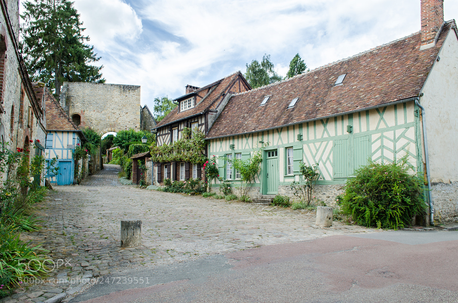 Nikon D5100 sample photo. Ruelle photography