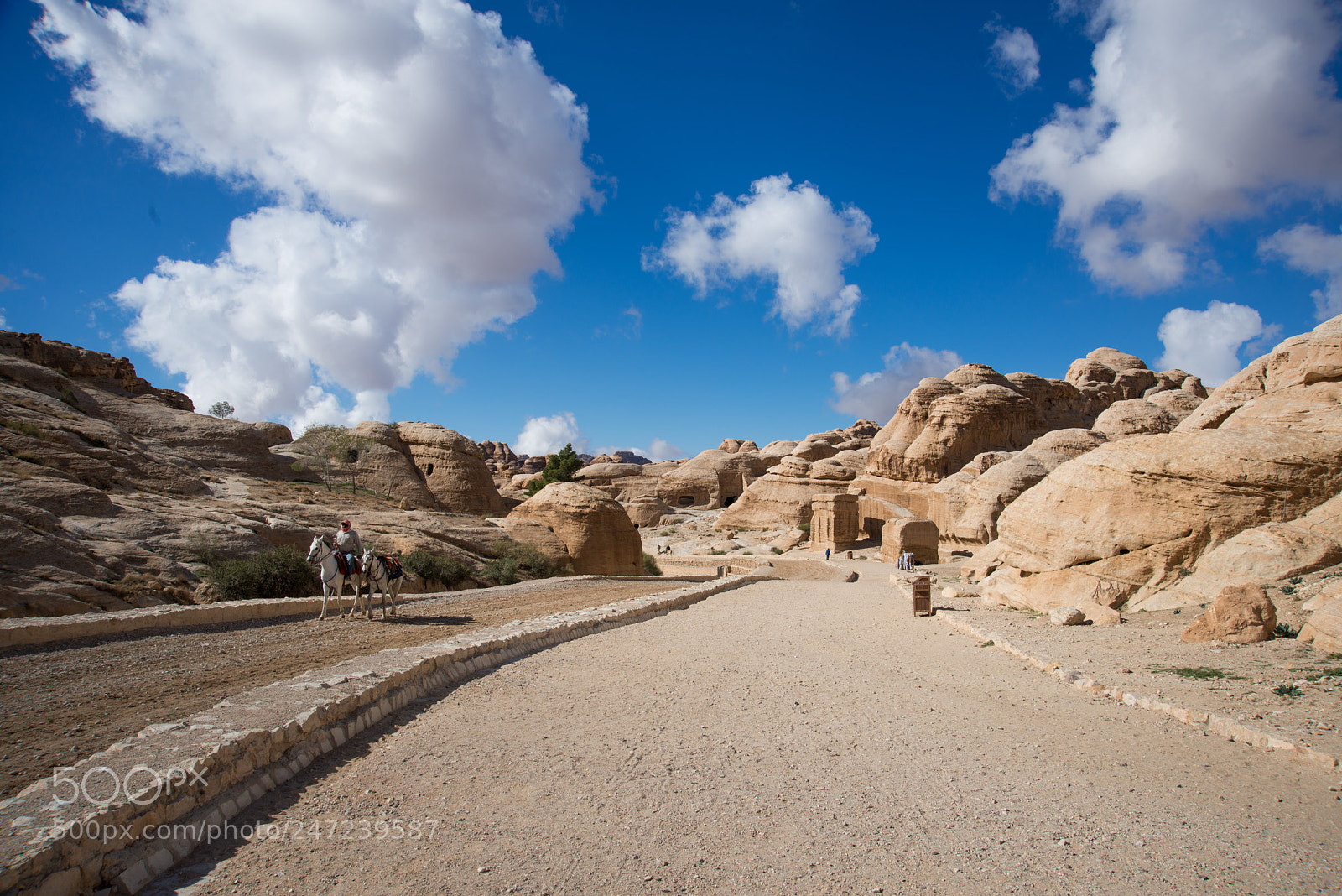 Nikon D800 sample photo. Petra homes photography