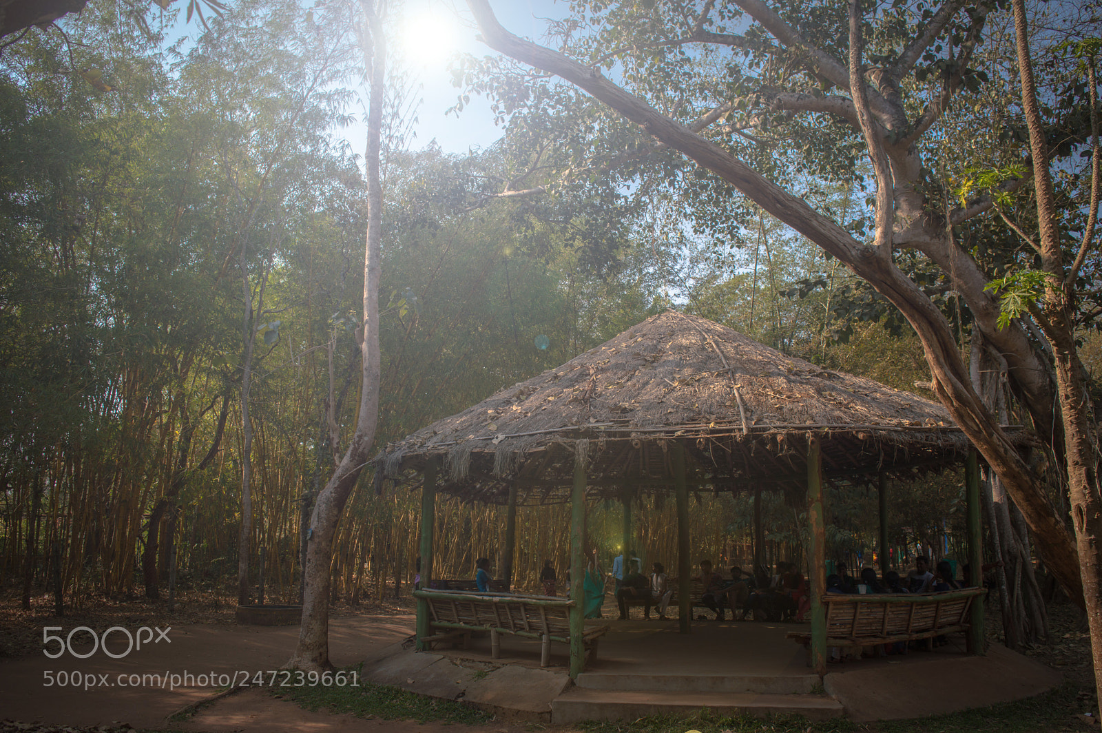 Nikon D3200 sample photo. Scape photography