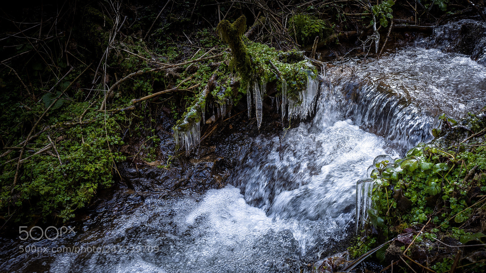 Leica Q (Typ 116) sample photo. Icicles photography
