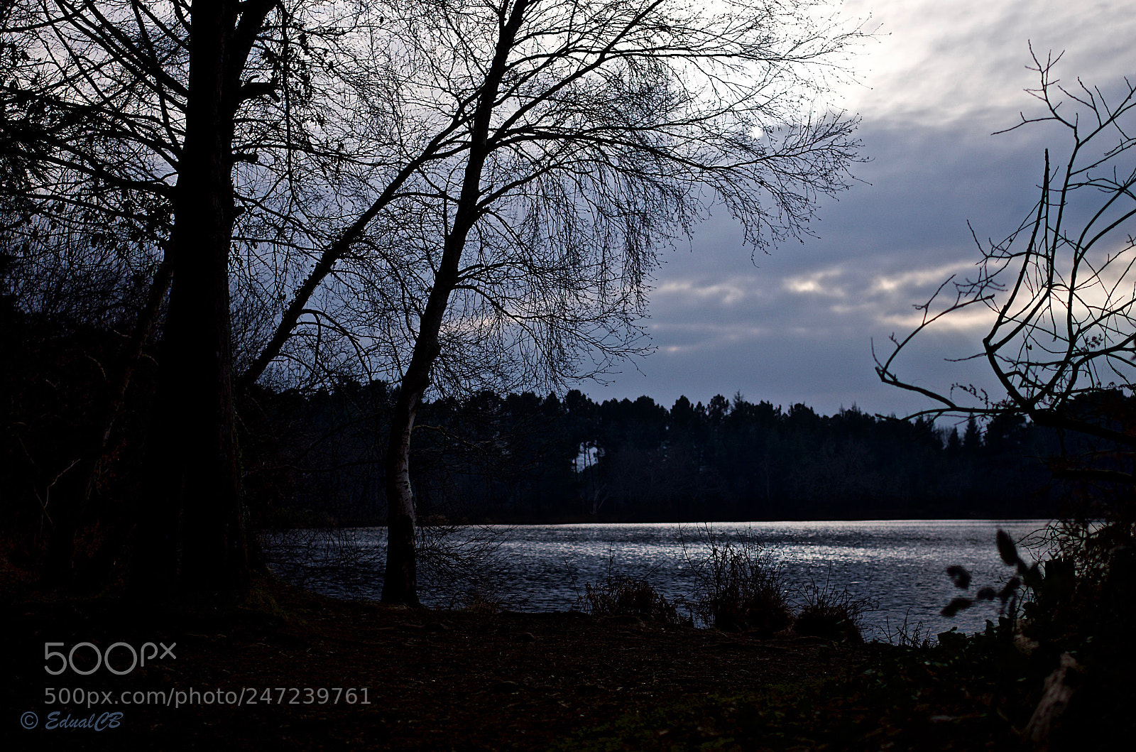 Pentax K-5 sample photo. Silver reflection photography