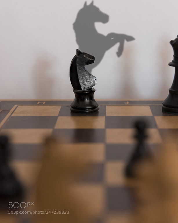 Nikon D810 sample photo. Chess photography