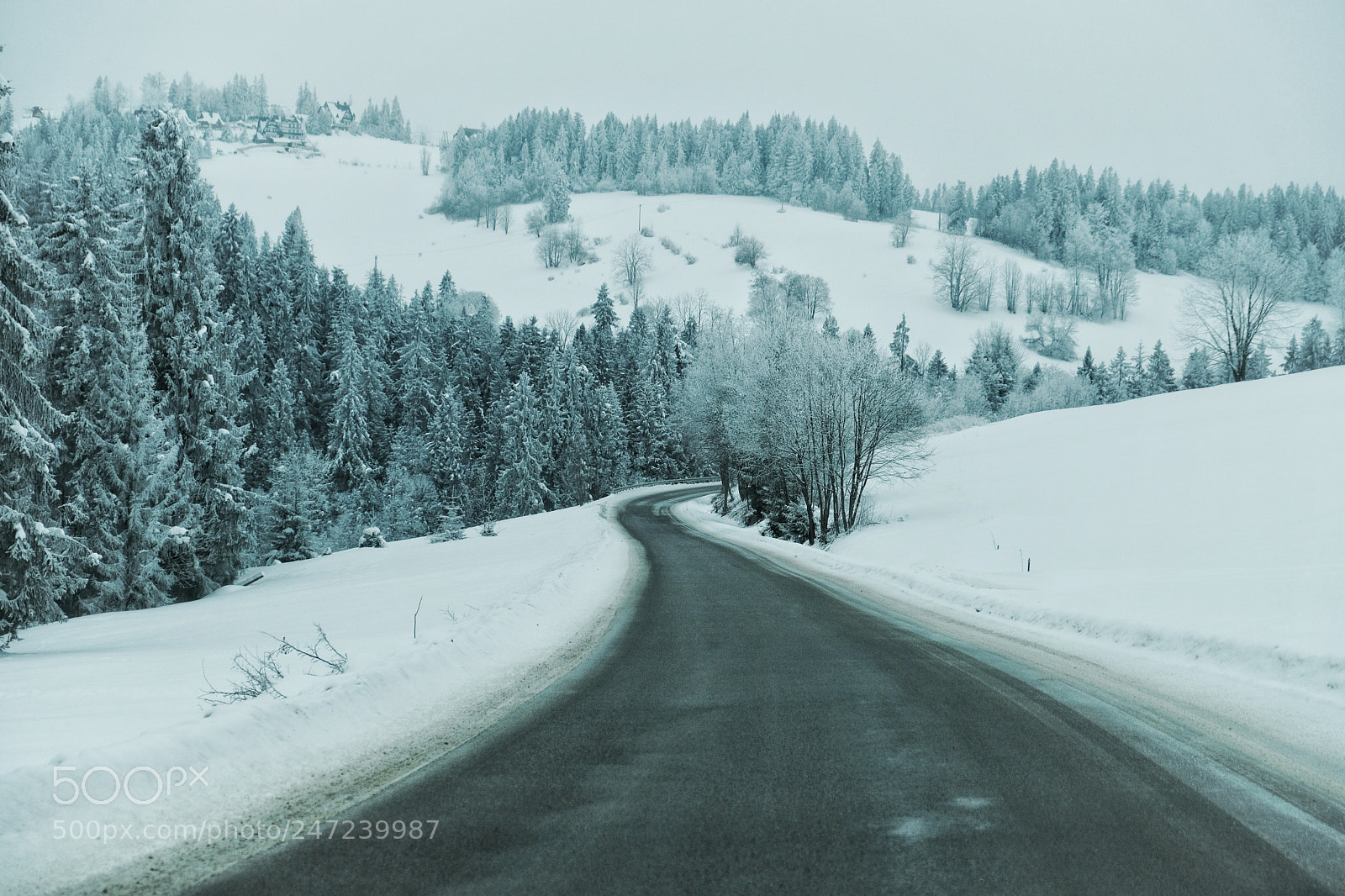 Fujifilm X-T20 sample photo. Winter road photography