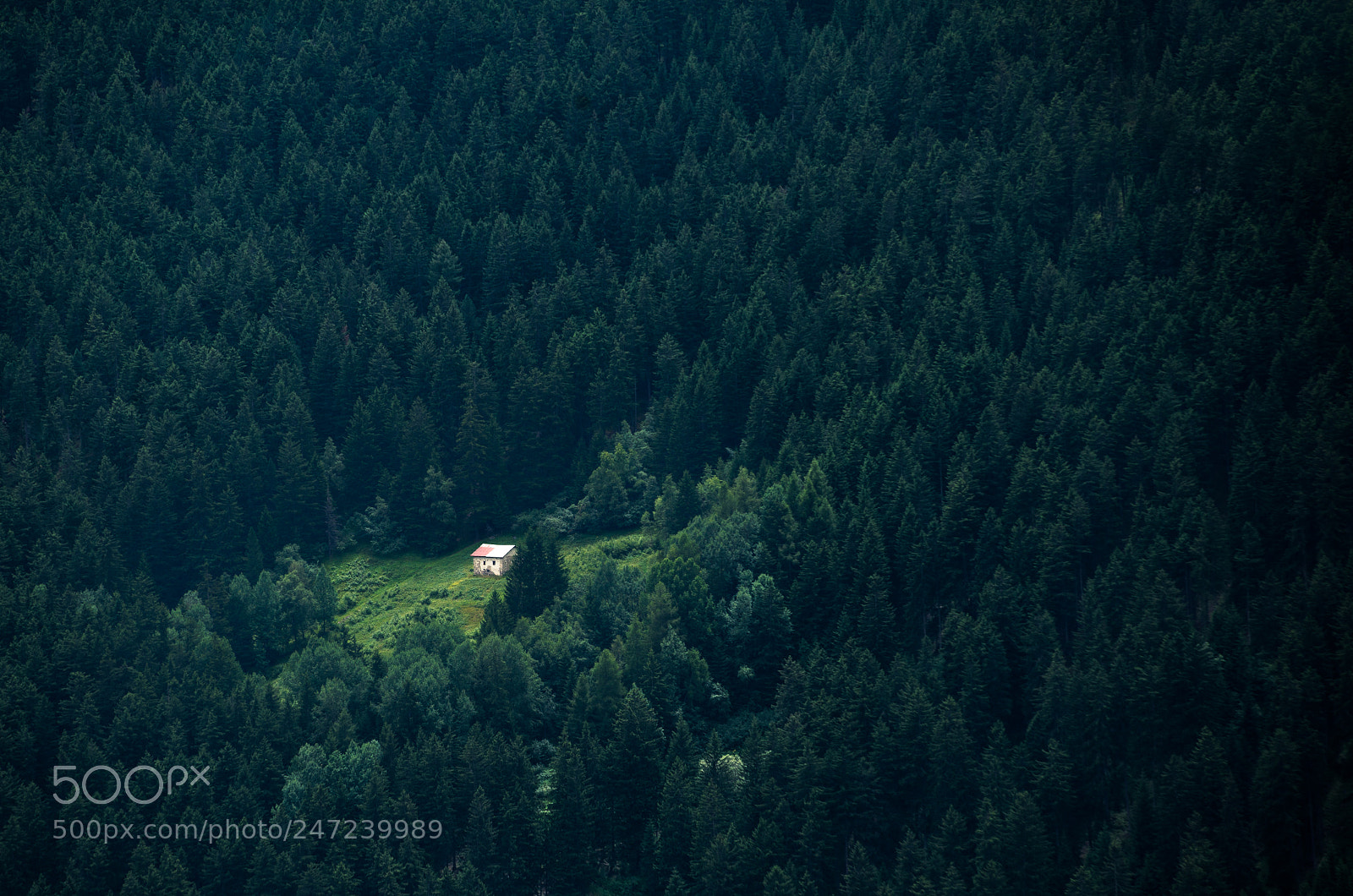 Nikon D600 sample photo. Lonely house photography