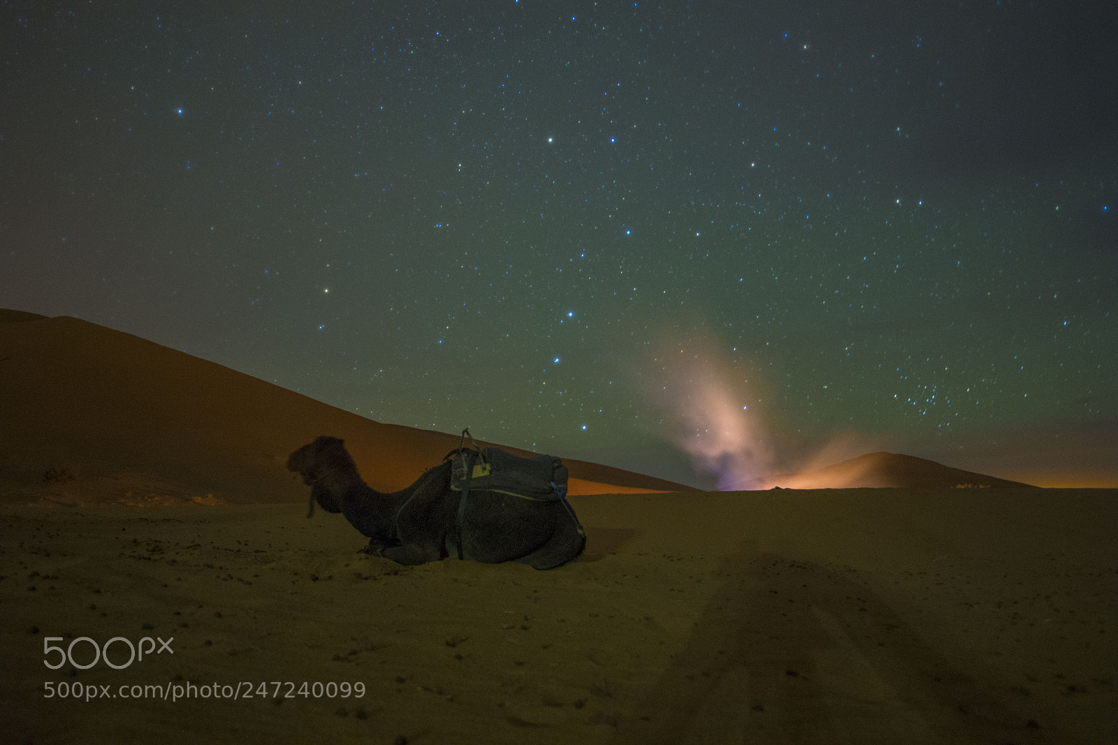 Nikon D5 sample photo. Night at desert ?? photography