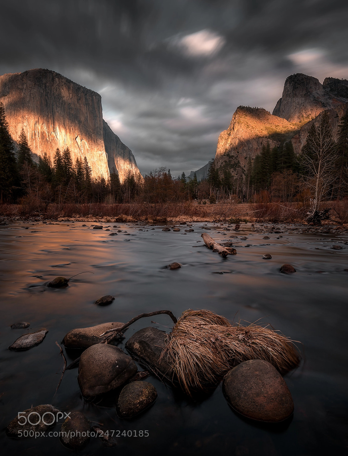 Nikon D850 sample photo. Moody yosemite  photography