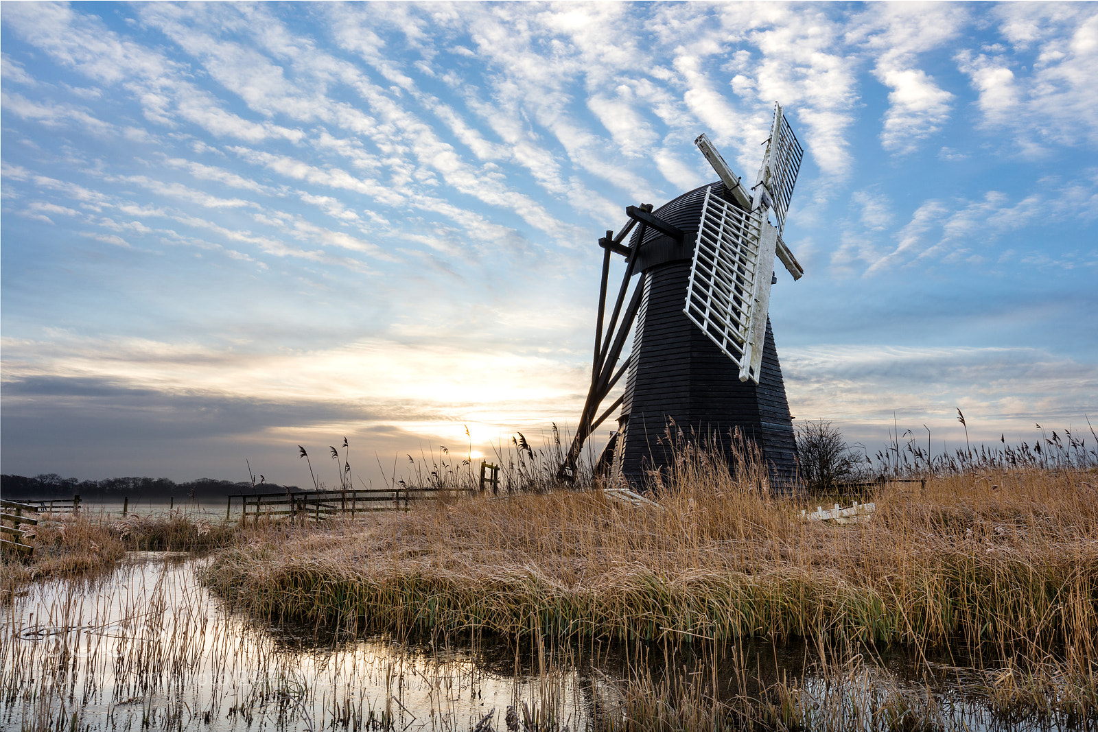 Canon EOS 5DS R sample photo. Herringfleet heaven photography