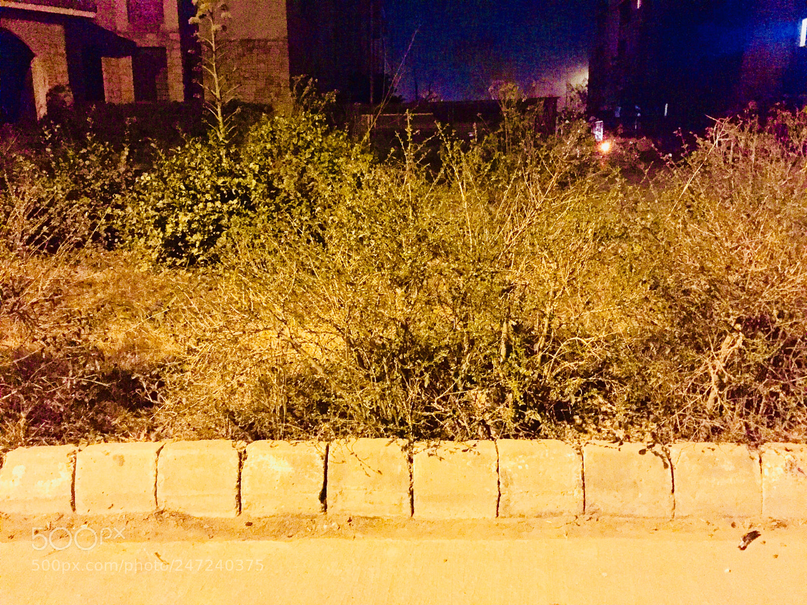 Apple iPhone 6 sample photo. Untitled photography