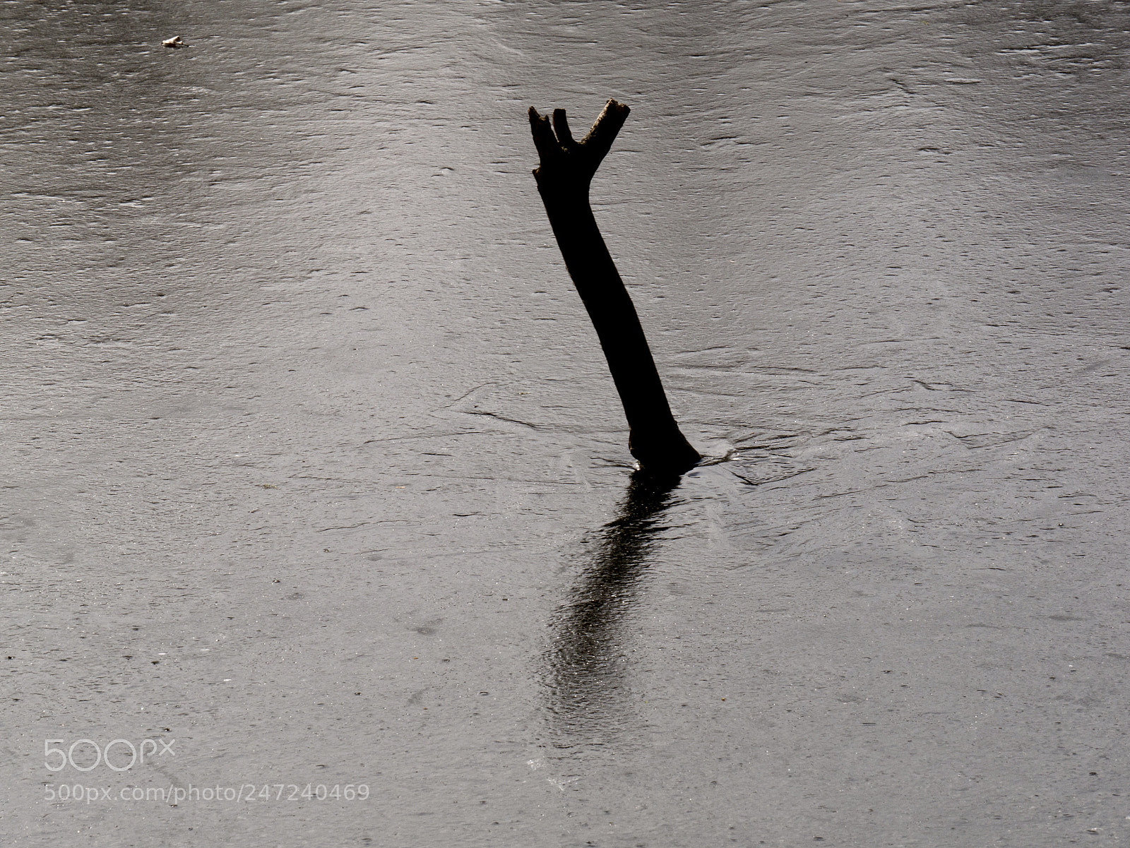 Panasonic Lumix DMC-G85 (Lumix DMC-G80) sample photo. Ice stick photography