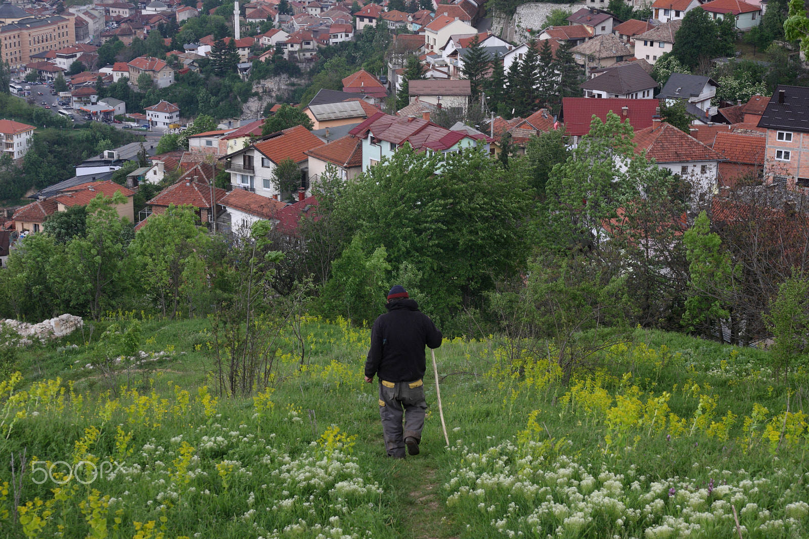 Sigma 17-70mm F2.8-4 DC Macro OS HSM sample photo. Sarajevo at spring photography