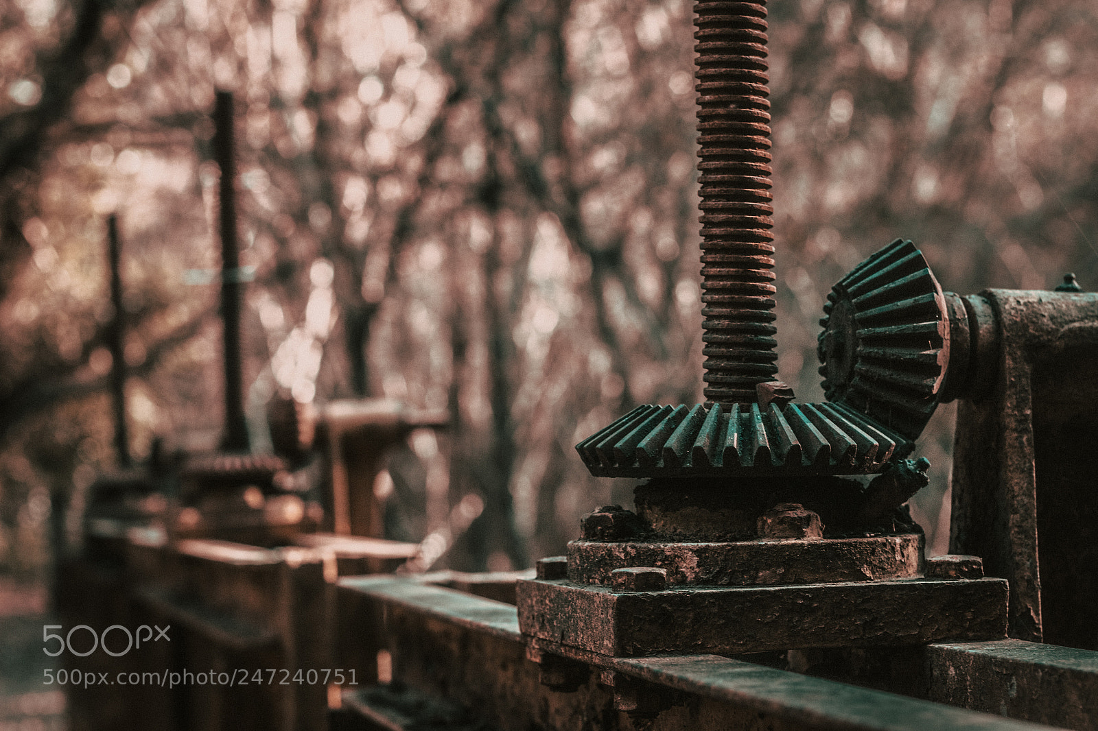 Canon EOS 100D (EOS Rebel SL1 / EOS Kiss X7) sample photo. Old oxide dam photography