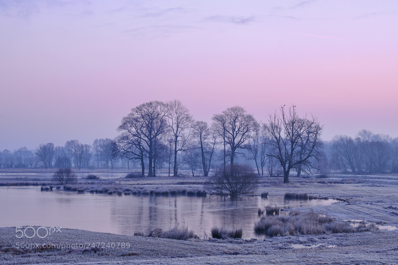 Fujifilm X-Pro2 sample photo. Frosty morning photography