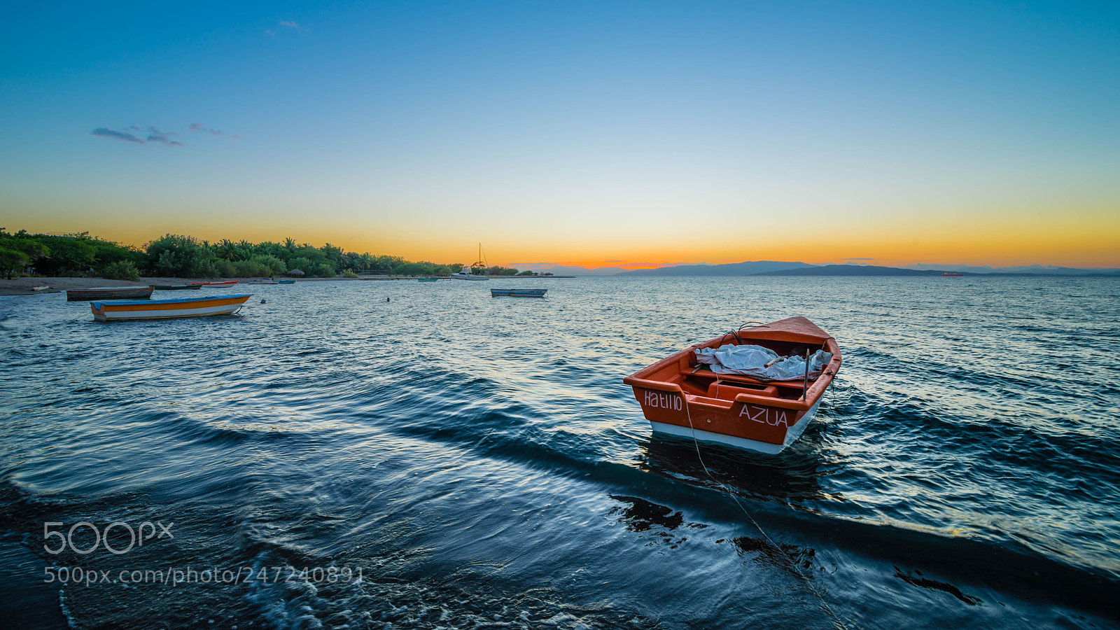 Nikon D800 sample photo. _mal5184-4.jpg photography