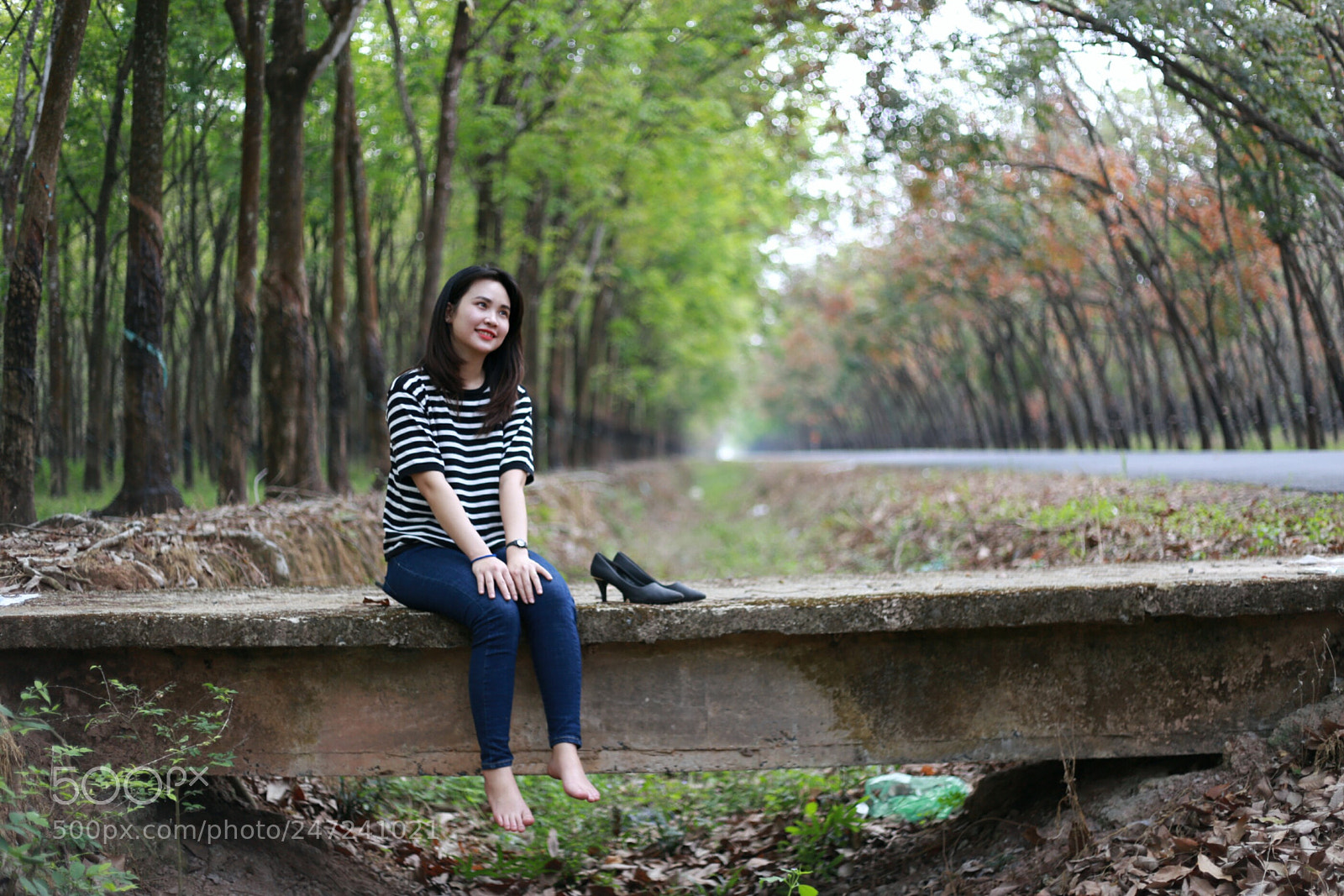 Canon EOS 6D + Canon EF 50mm F1.8 II sample photo. Untitled photography