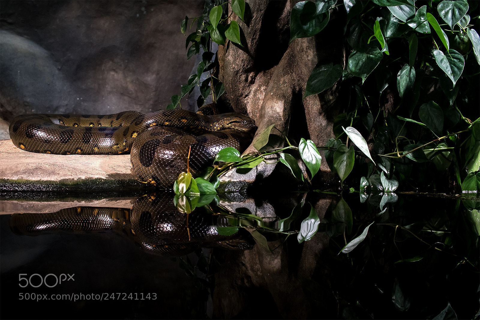 Canon EOS 7D Mark II sample photo. Untitled photography