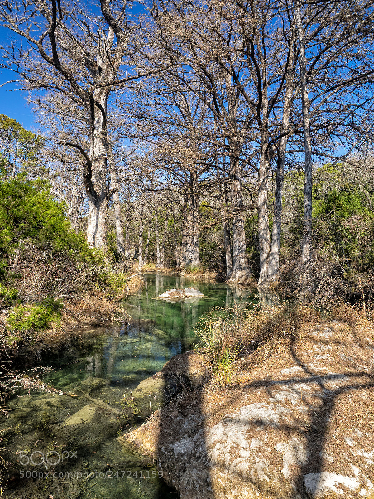 Olympus OM-D E-M1 sample photo. Hamilton creek photography