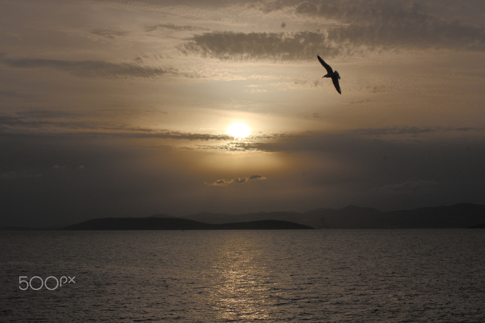 Sigma 17-70mm F2.8-4 DC Macro OS HSM sample photo. Sunset photography