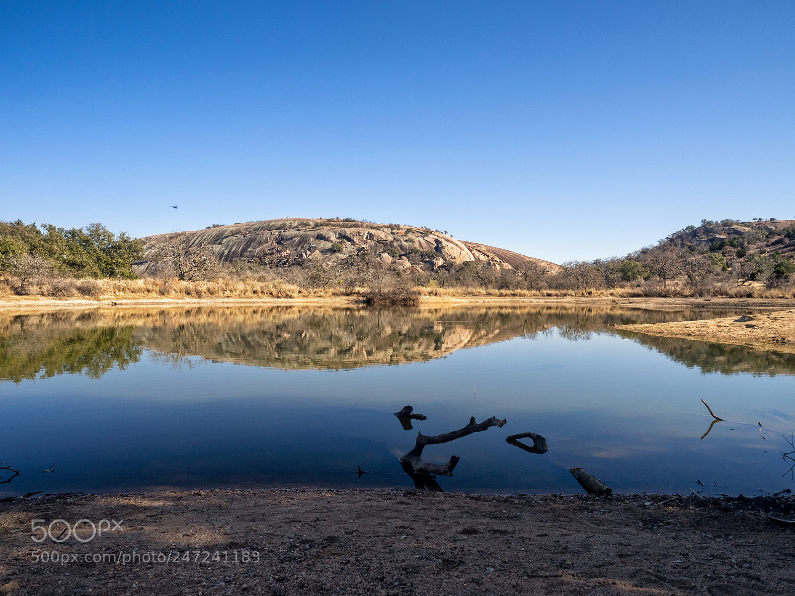 Olympus OM-D E-M1 sample photo. Enchanted rock photography