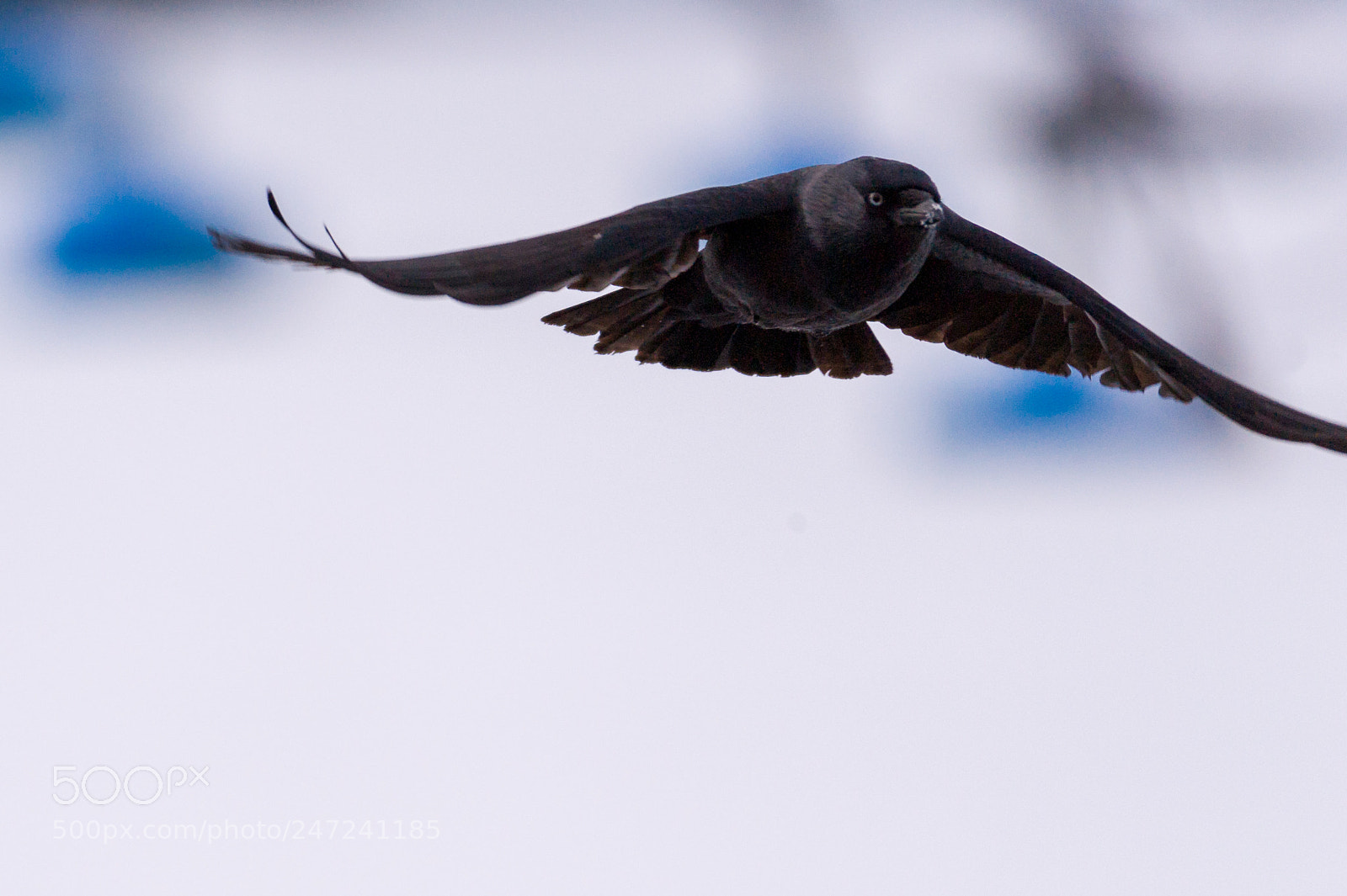 Nikon D3 sample photo. On the fly photography