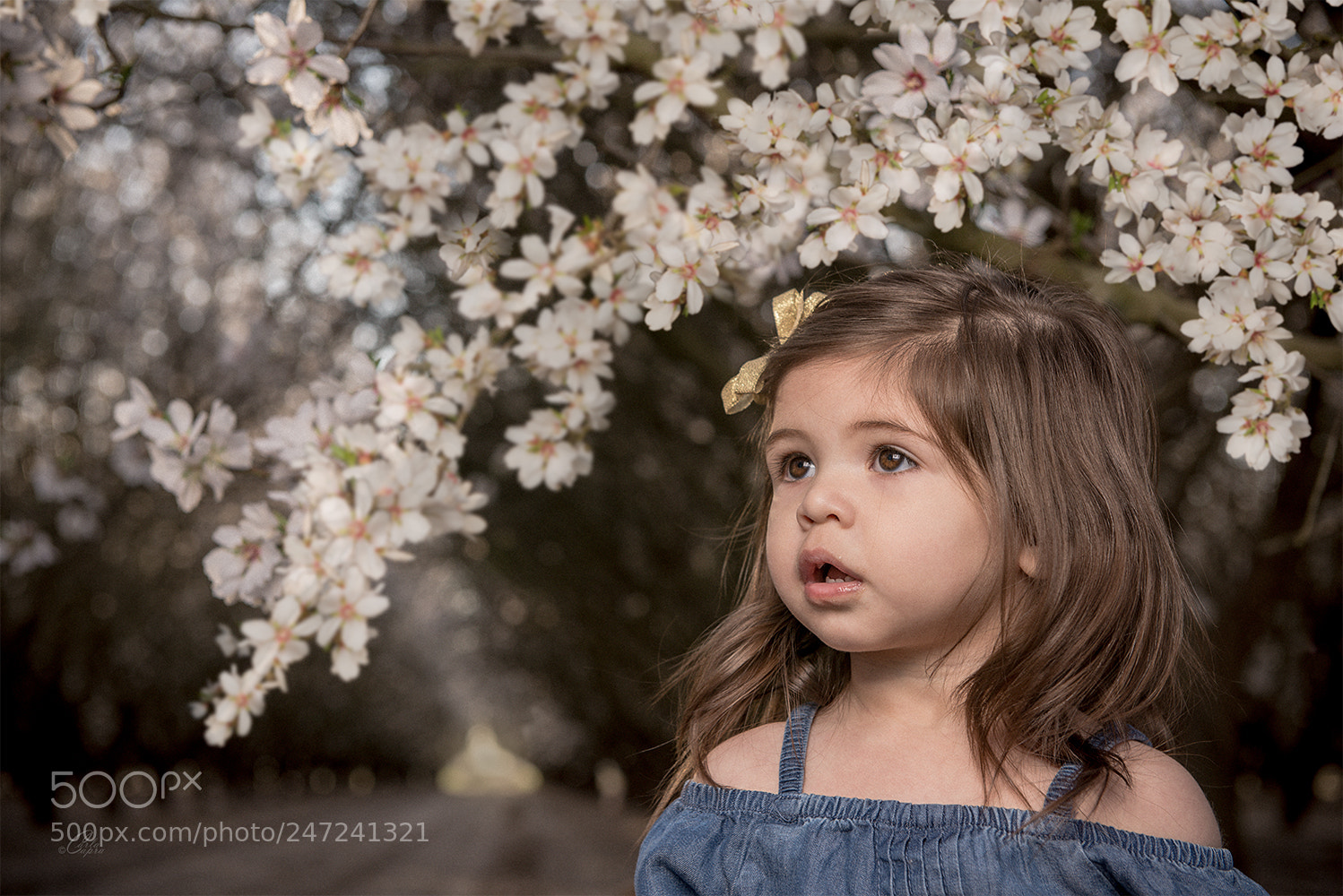 Nikon D800 sample photo. Little flower photography
