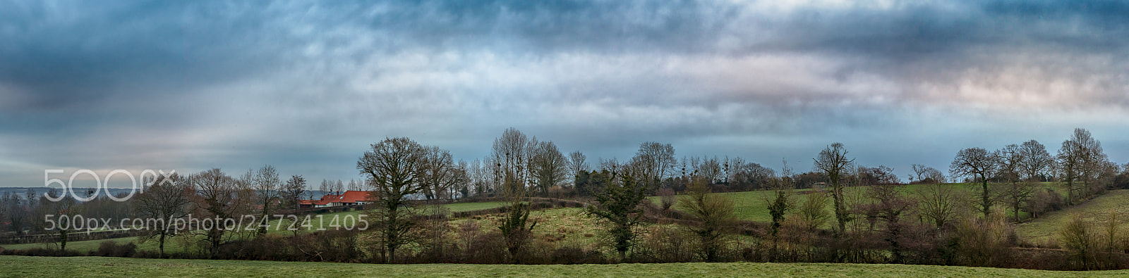 Nikon D500 sample photo. First light @ choquel ... photography