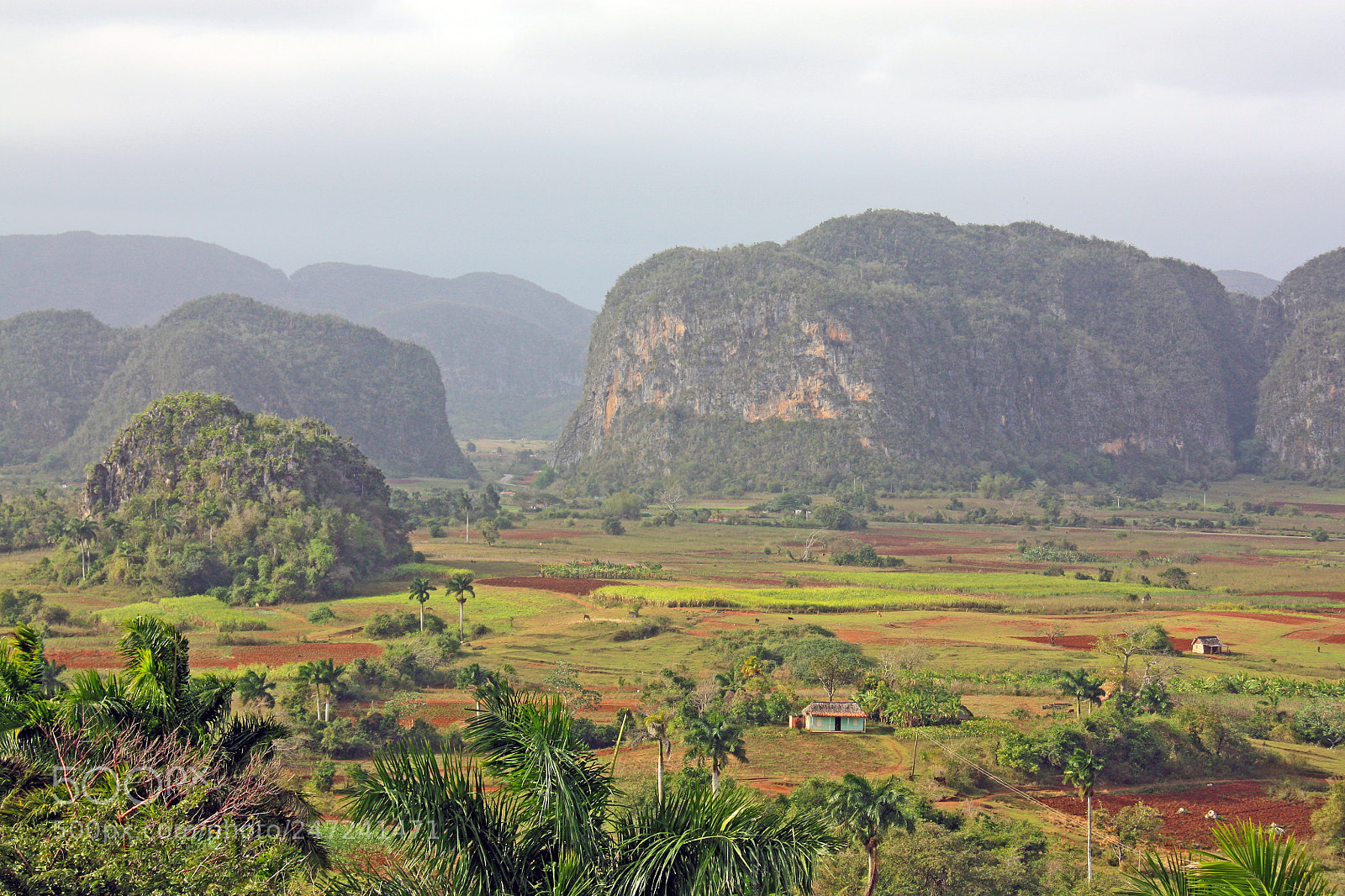 Canon EOS 450D (EOS Rebel XSi / EOS Kiss X2) sample photo. Valle de vinales photography