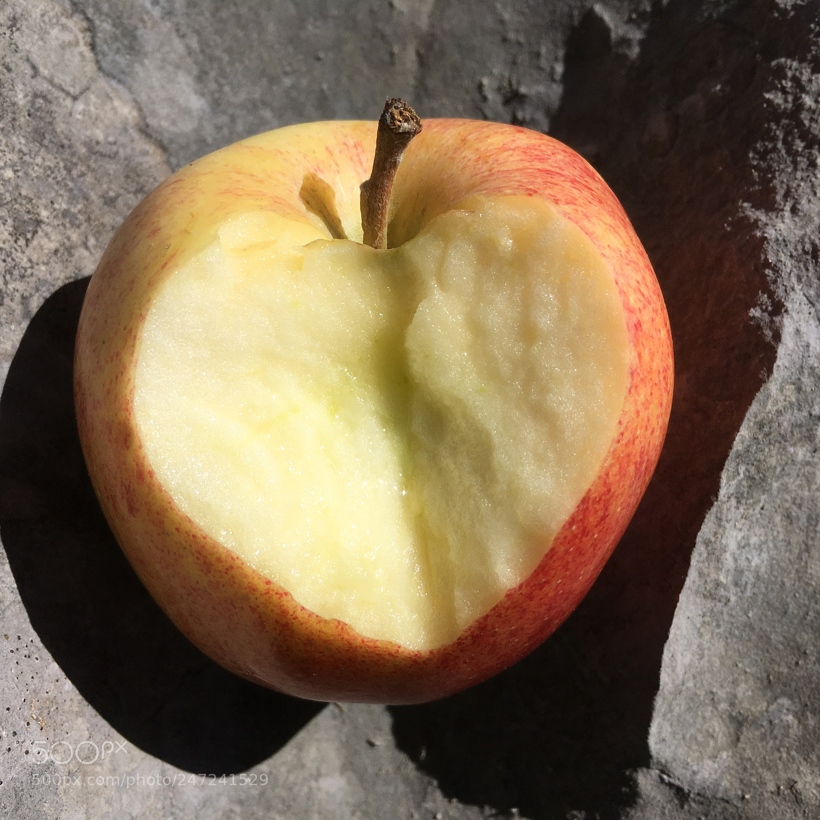 Apple iPhone SE sample photo. Untitled photography