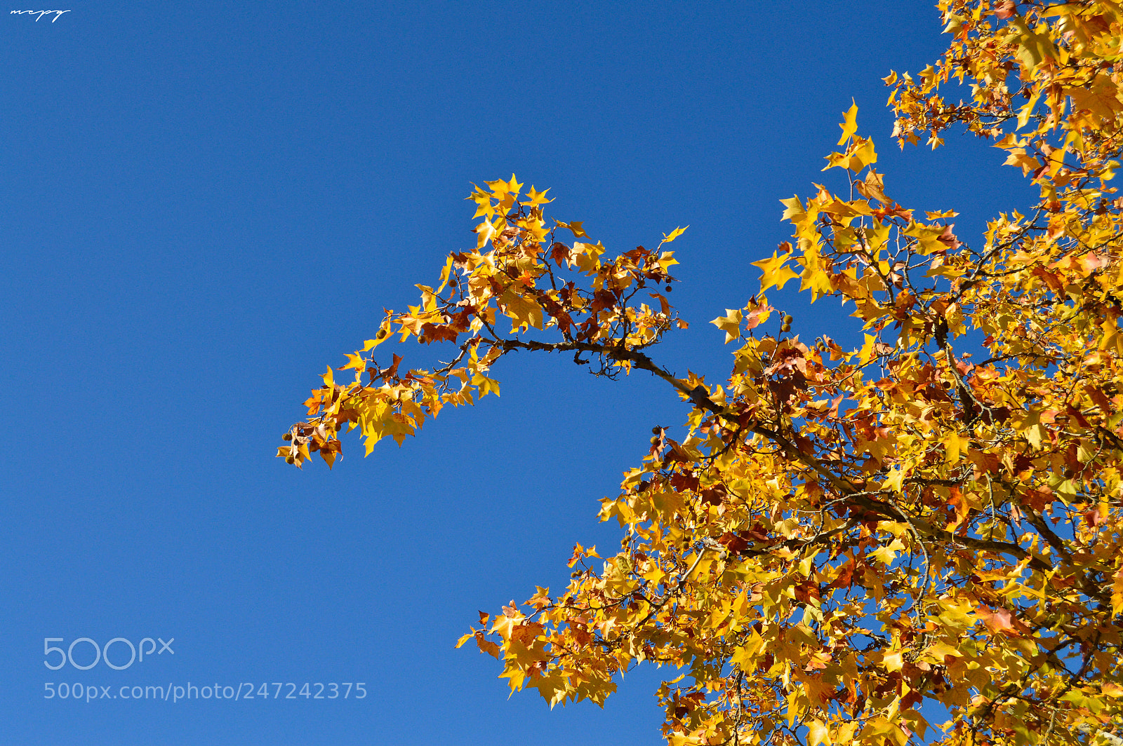 Nikon D3200 sample photo. Fátima, portugal. photography