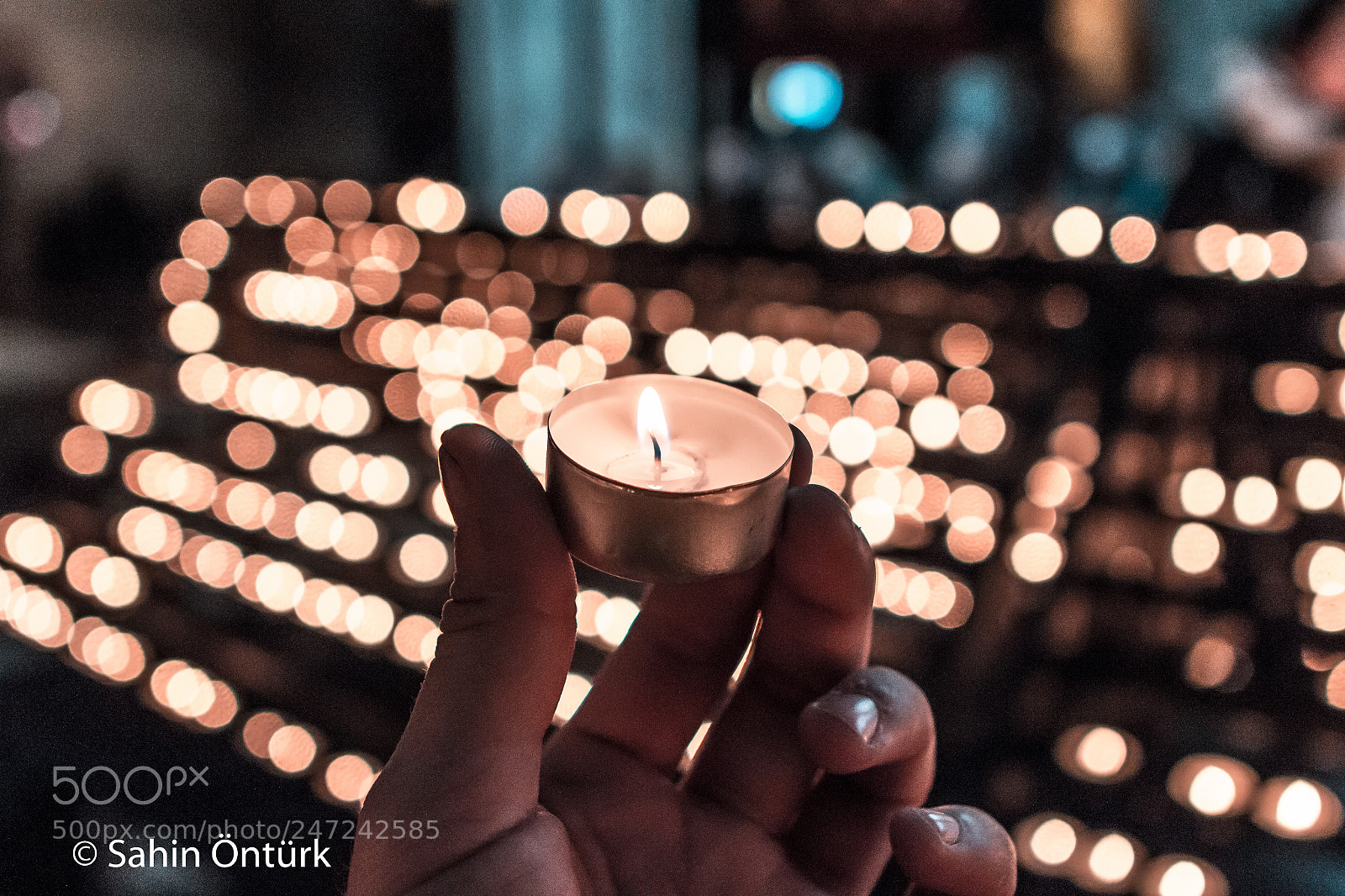Canon EOS 700D (EOS Rebel T5i / EOS Kiss X7i) sample photo. St. stephen's cathedral photography
