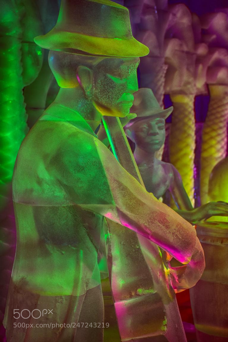 Nikon D7200 sample photo. Musiker photography