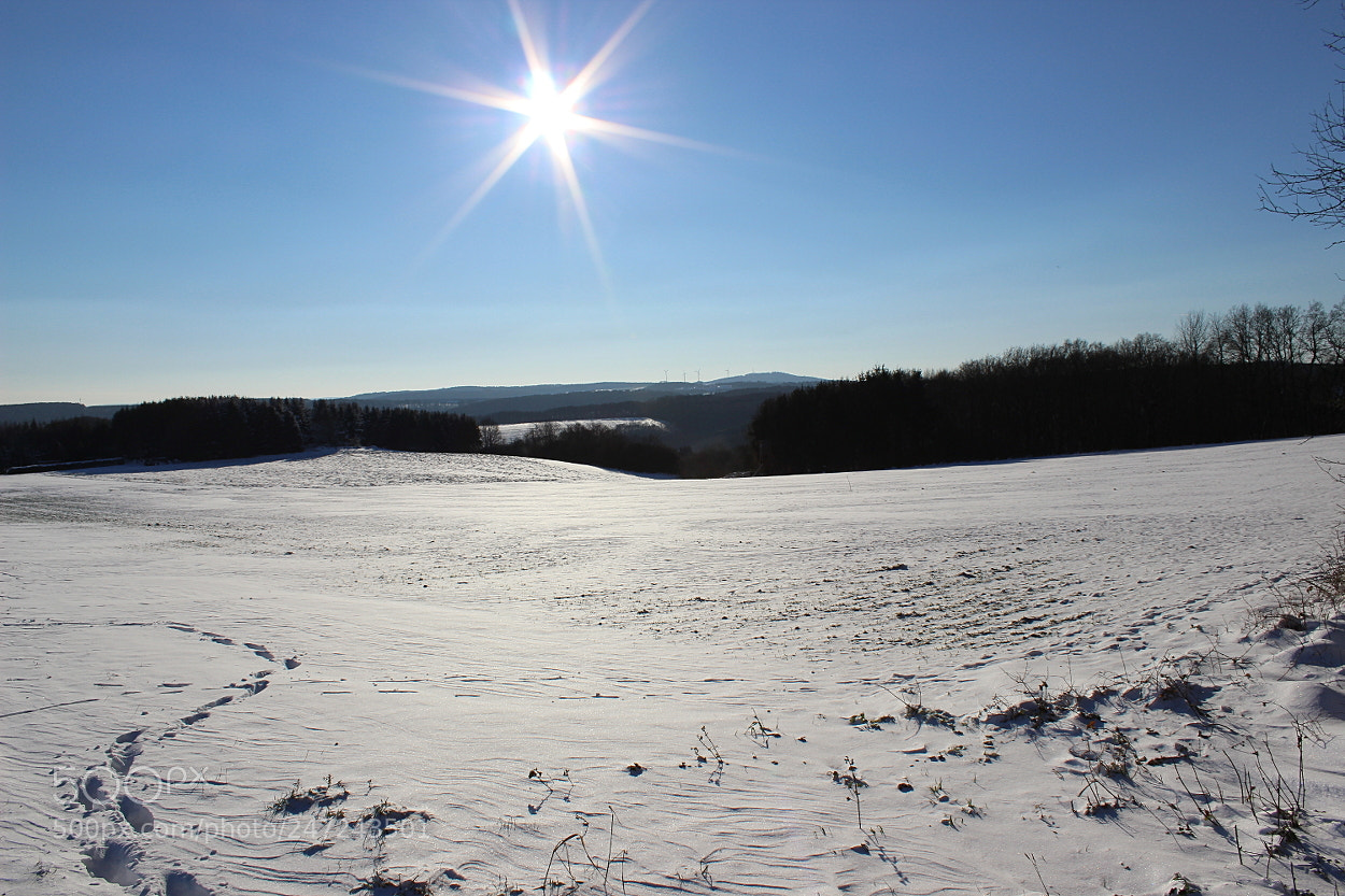Canon EOS 600D (Rebel EOS T3i / EOS Kiss X5) sample photo. Winterland photography