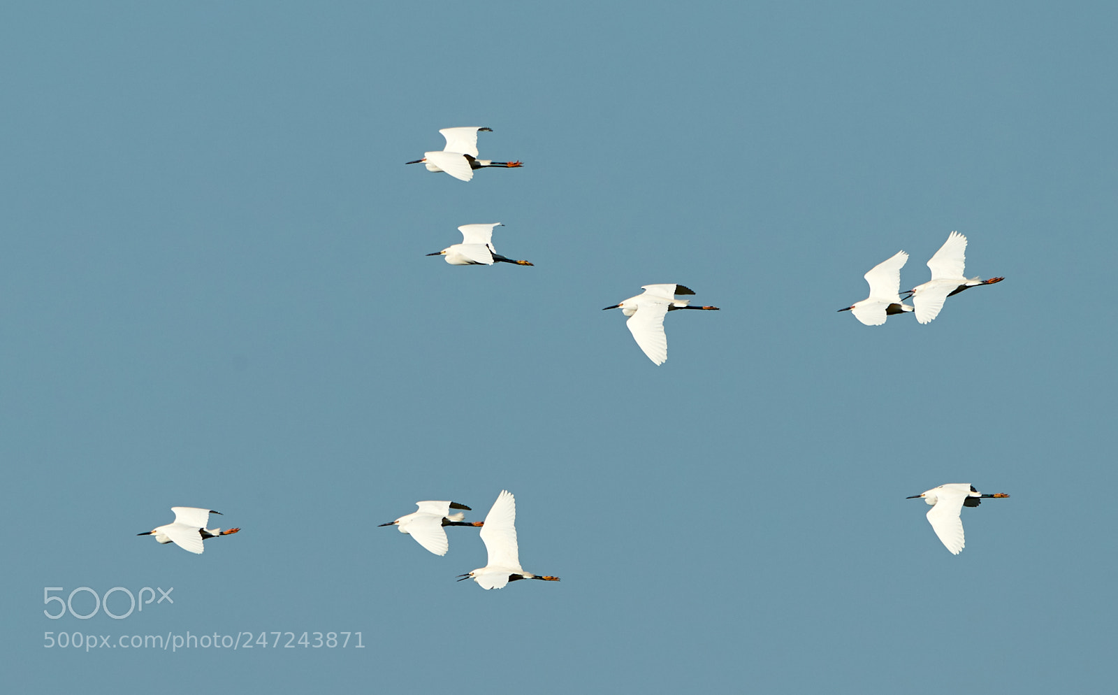 Canon EOS-1D X Mark II sample photo. 02-24-18-0005116.jpg photography