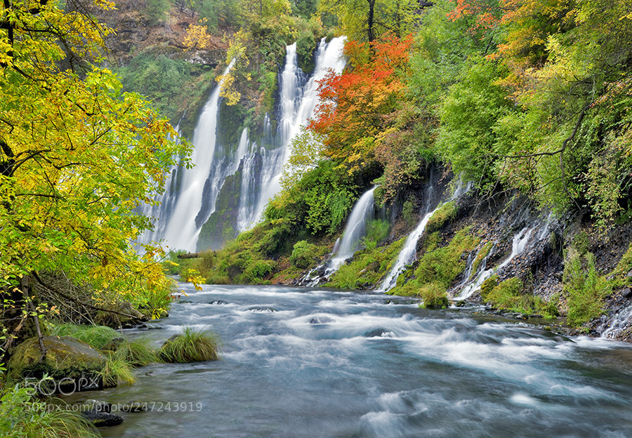 Canon EOS-1Ds Mark III sample photo. Burney falls with fall photography