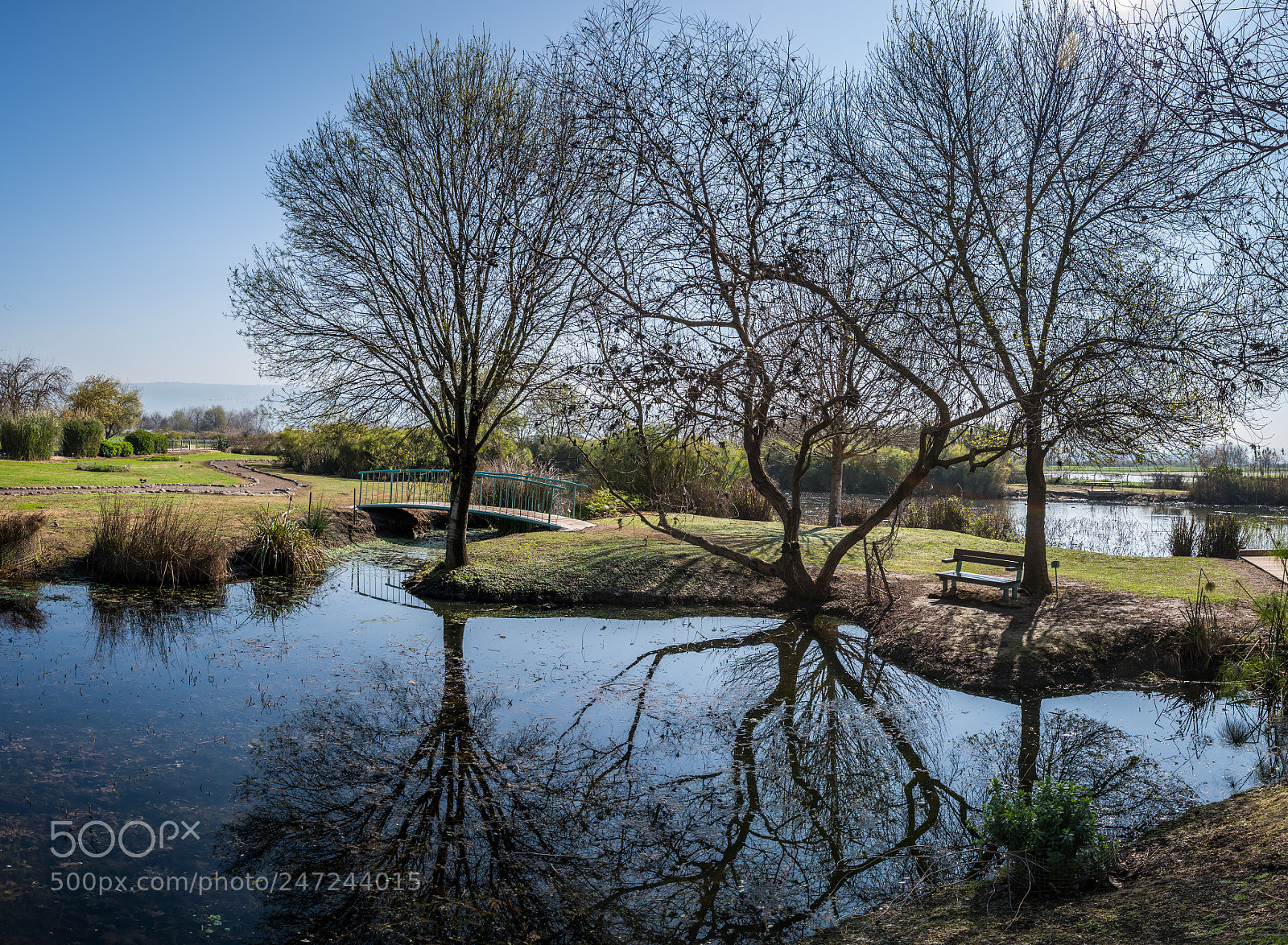 Nikon D850 sample photo. Relax photography