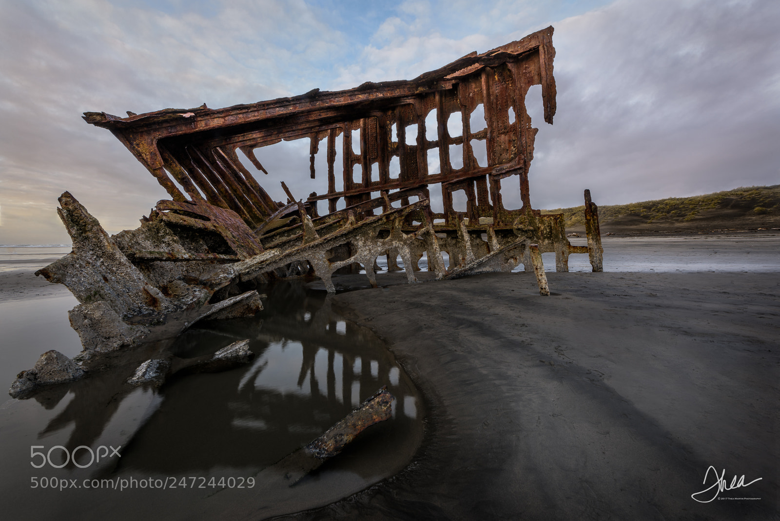 Nikon D810 sample photo. Path to the peter photography
