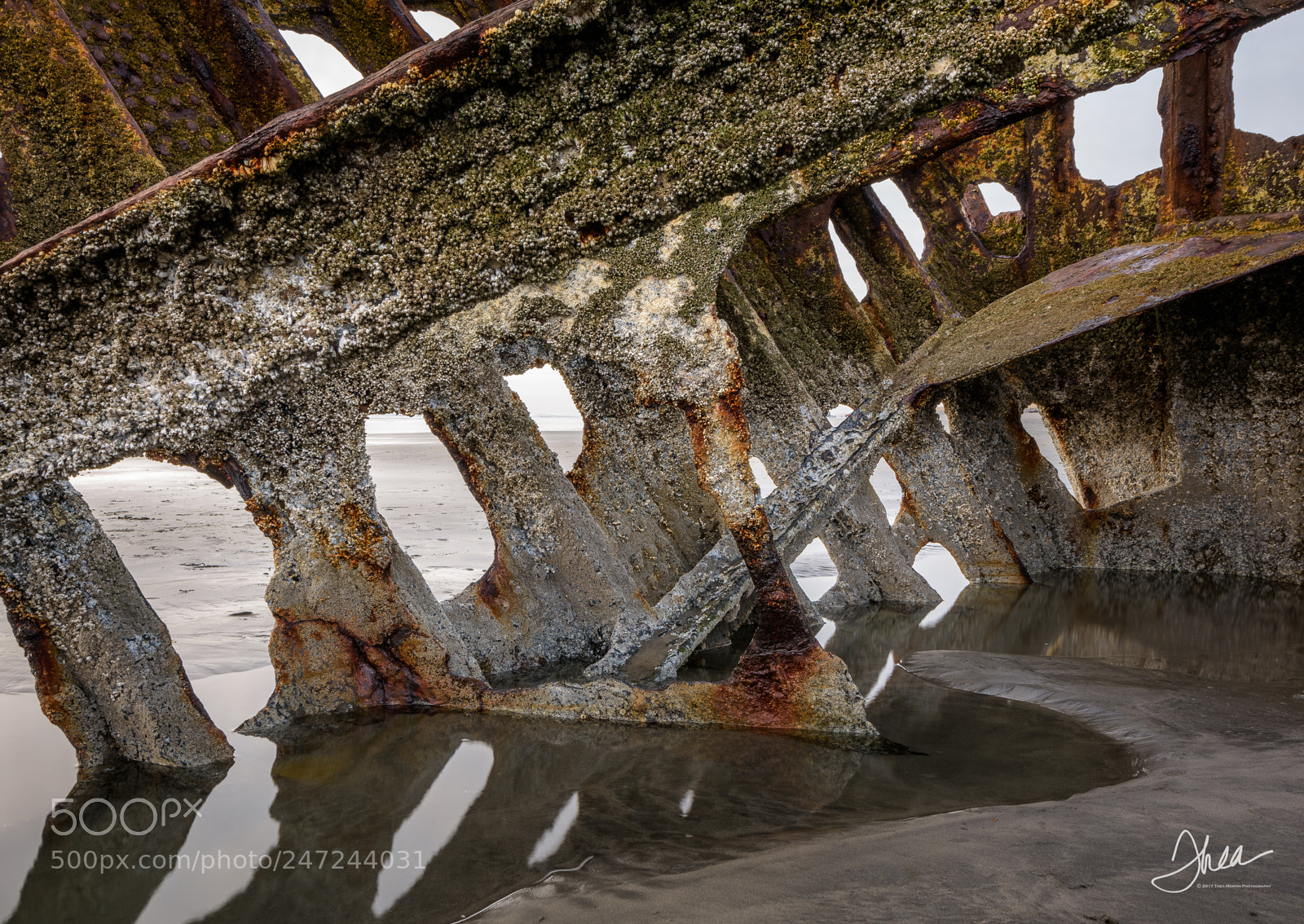 Nikon D810 sample photo. Iredale bone reflection photography